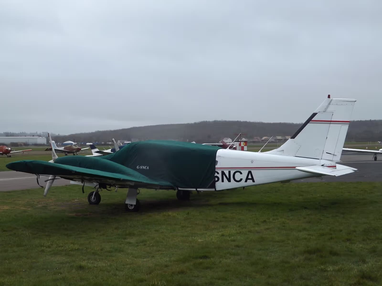 G-SNCA — Piper