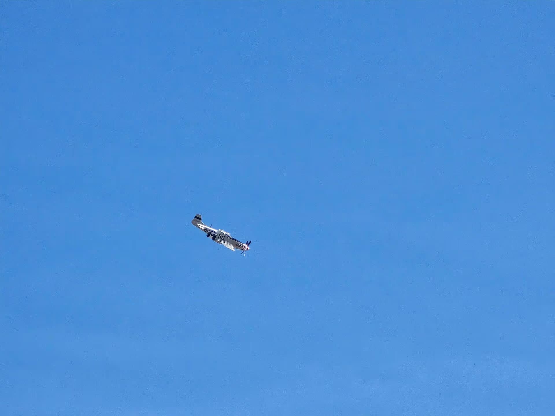 Unidentified — Warbird