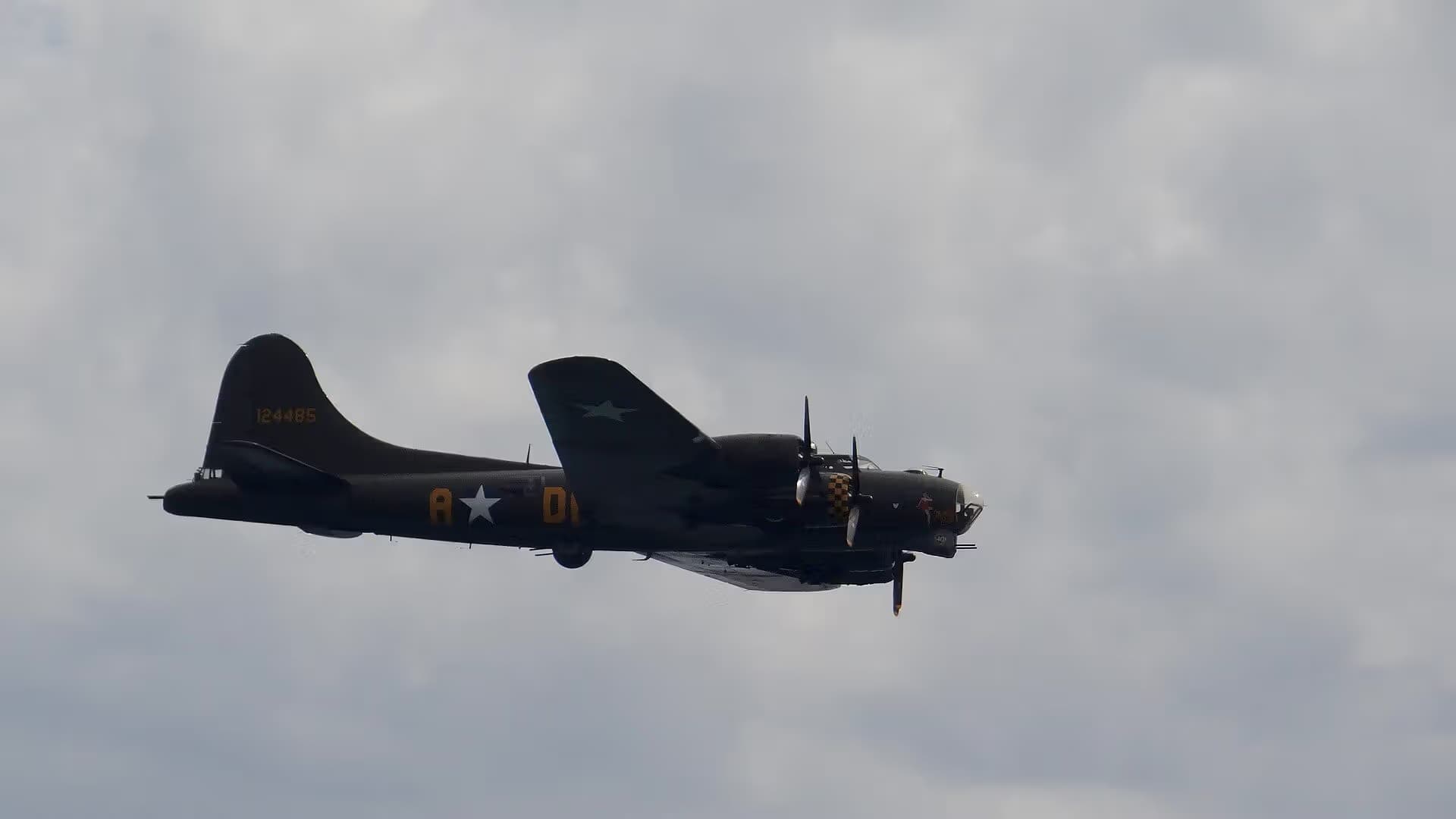 Unidentified — Warbird