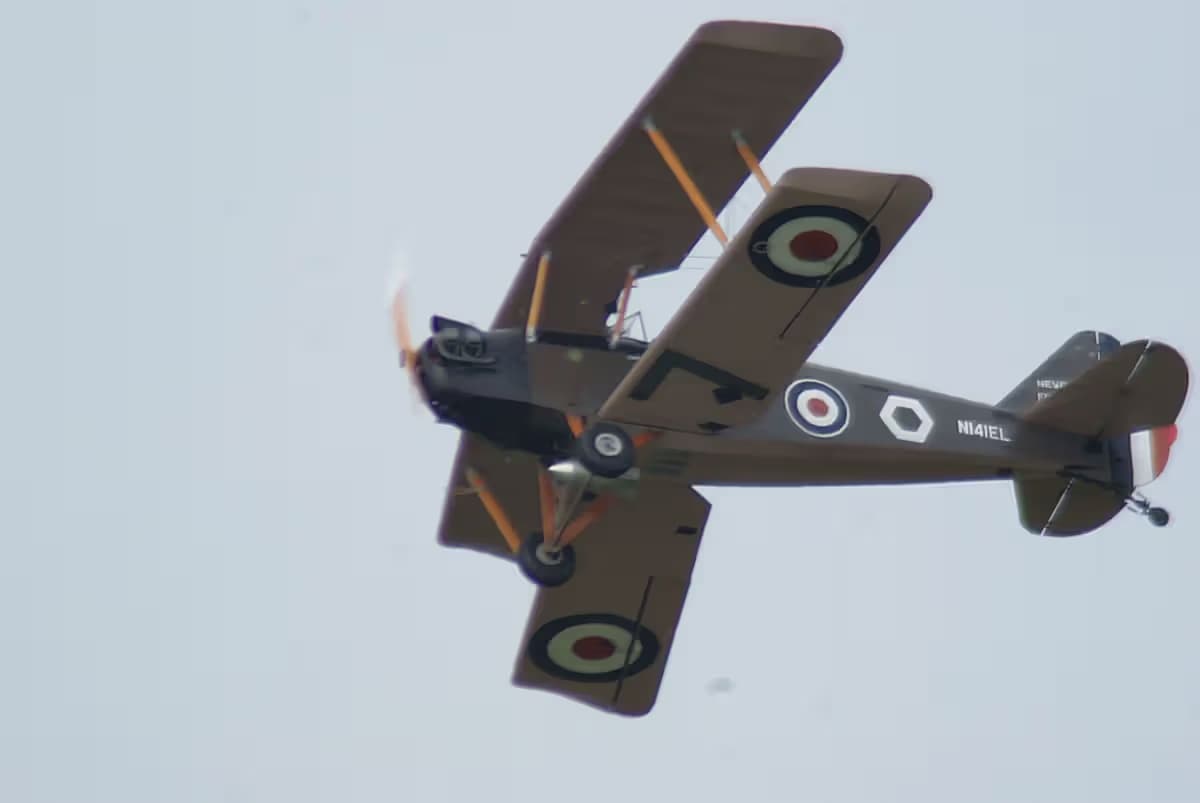 N141EL — Single-engine aircraft