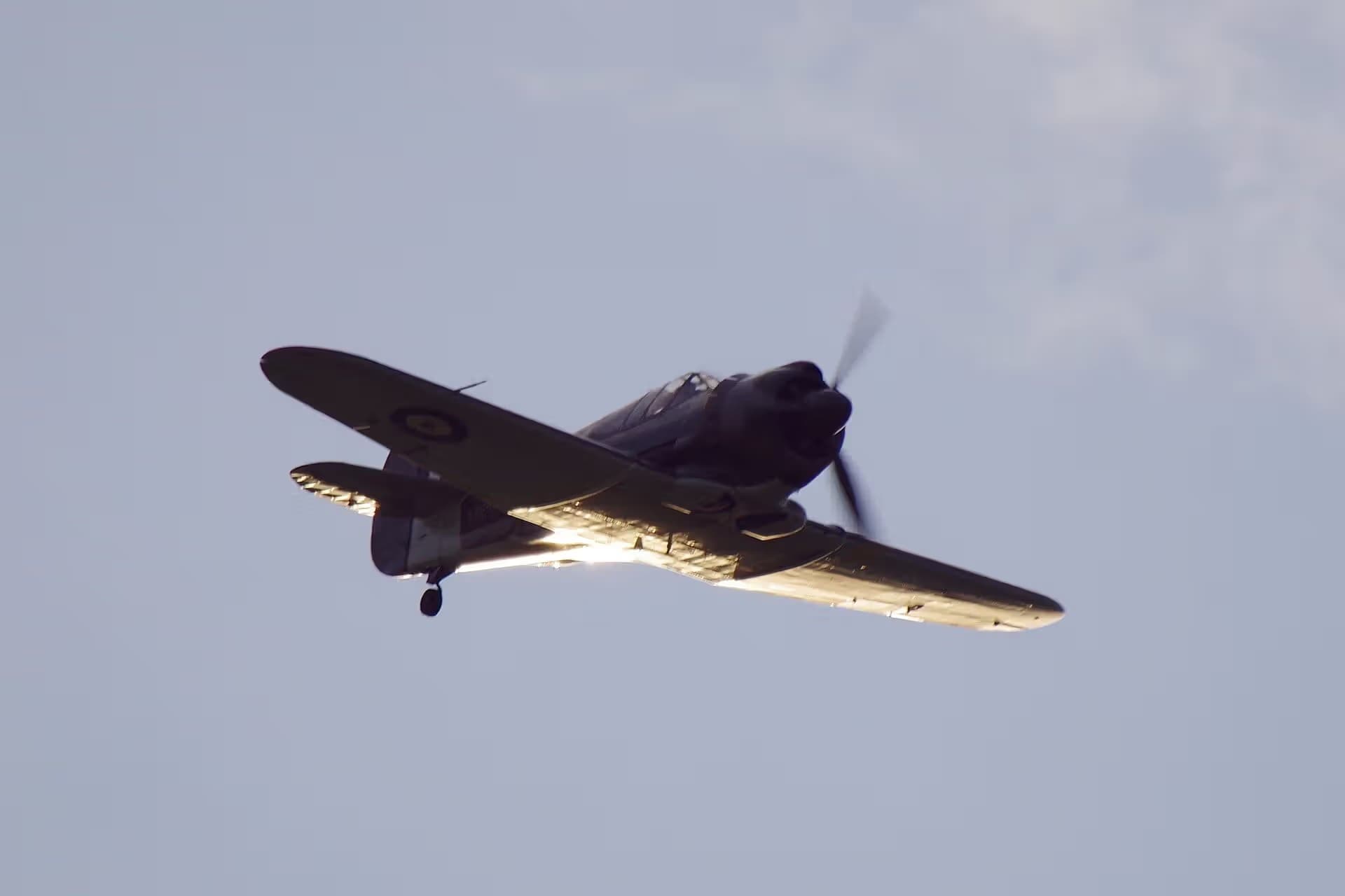 Unidentified — Warbird