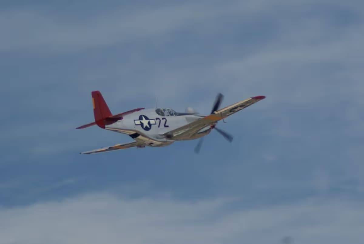 Unidentified — Warbird