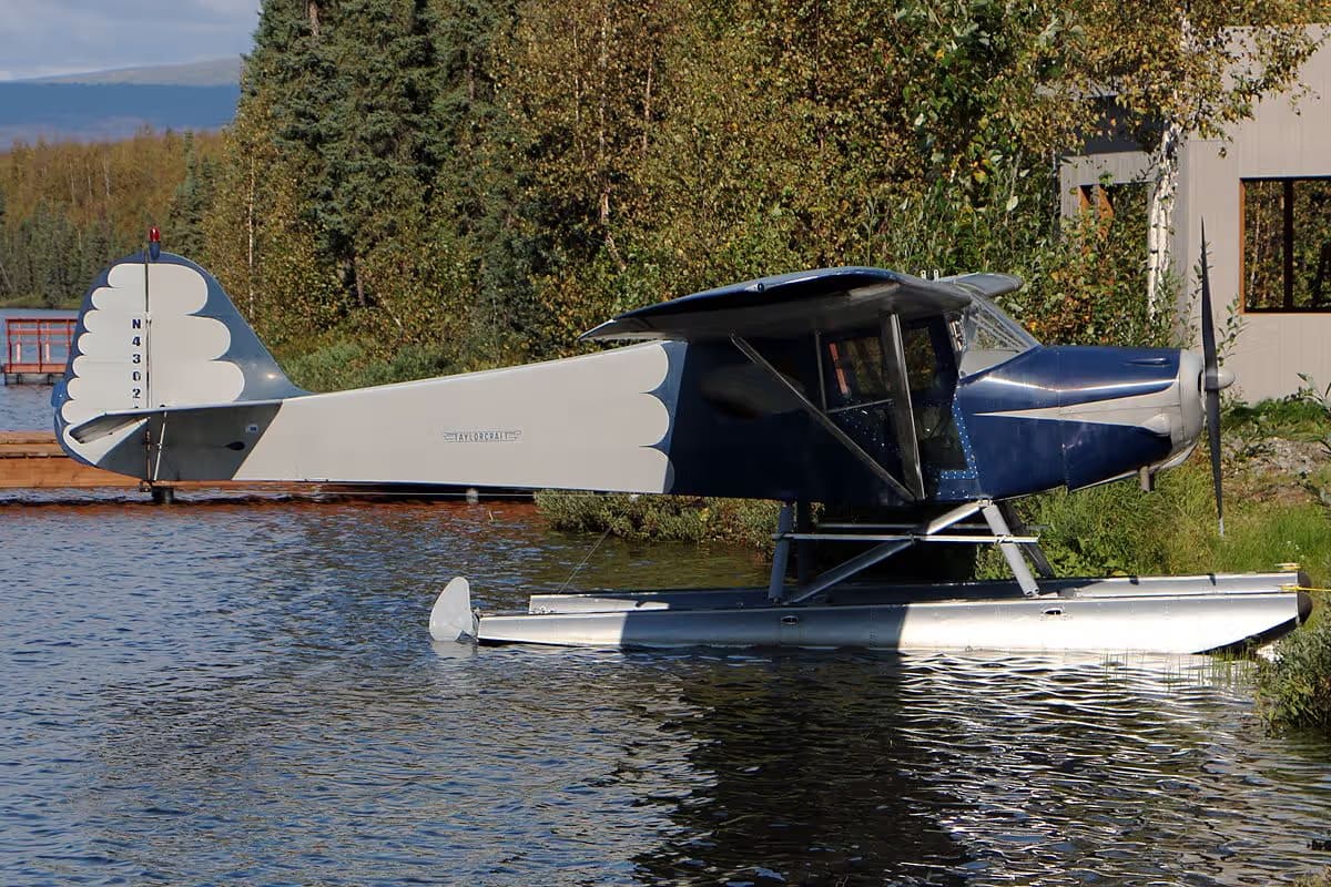N43021 — Single-engine aircraft