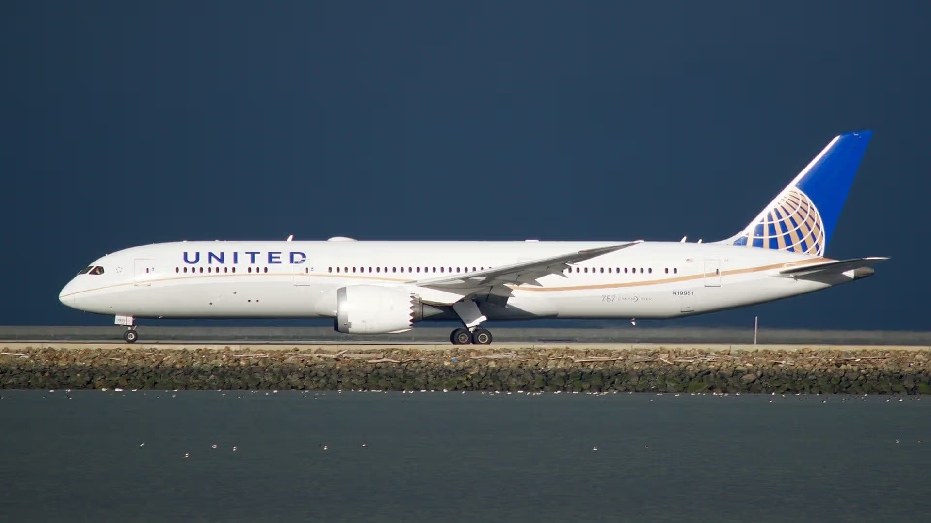 N19951 — Twin-engine aircraft
