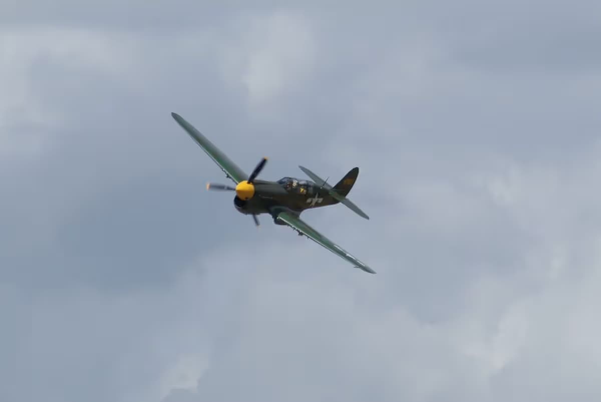 Unidentified — Warbird