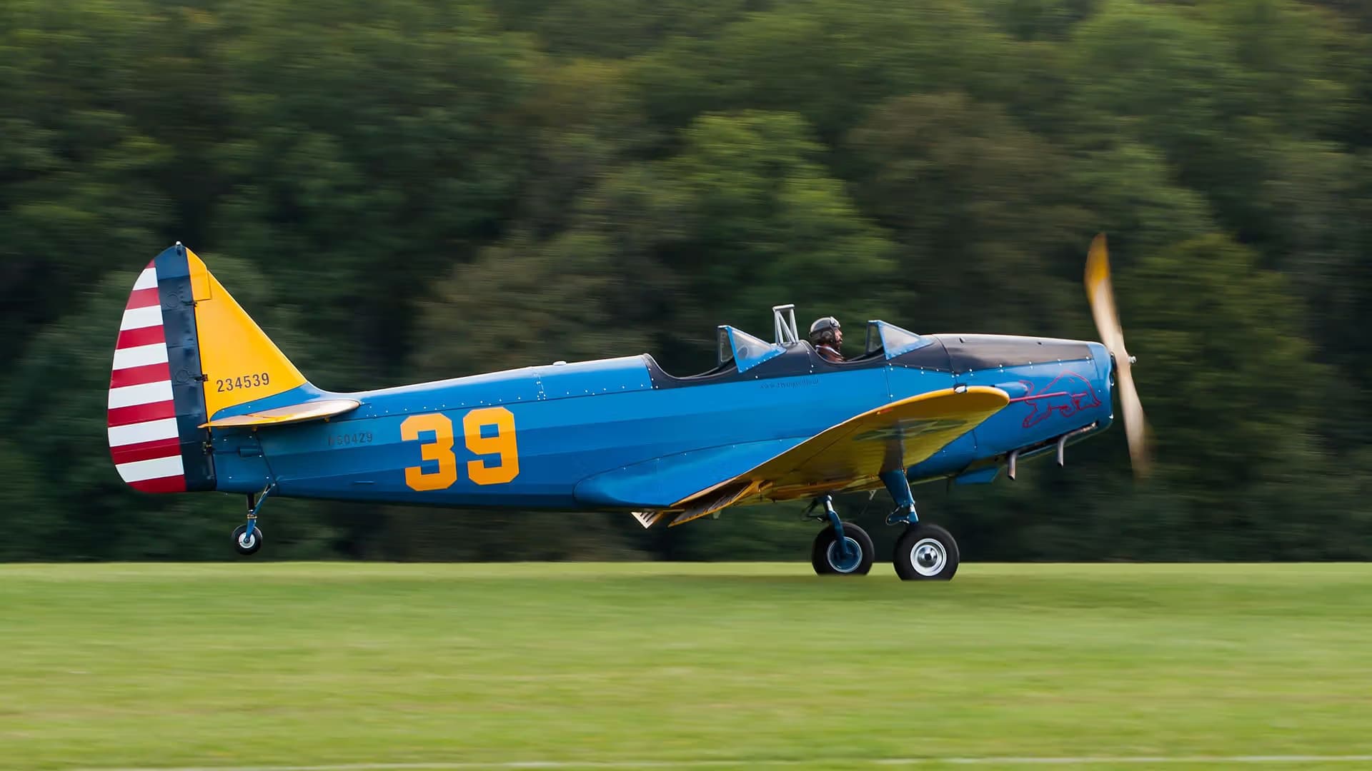 N50429 — Single-engine aircraft