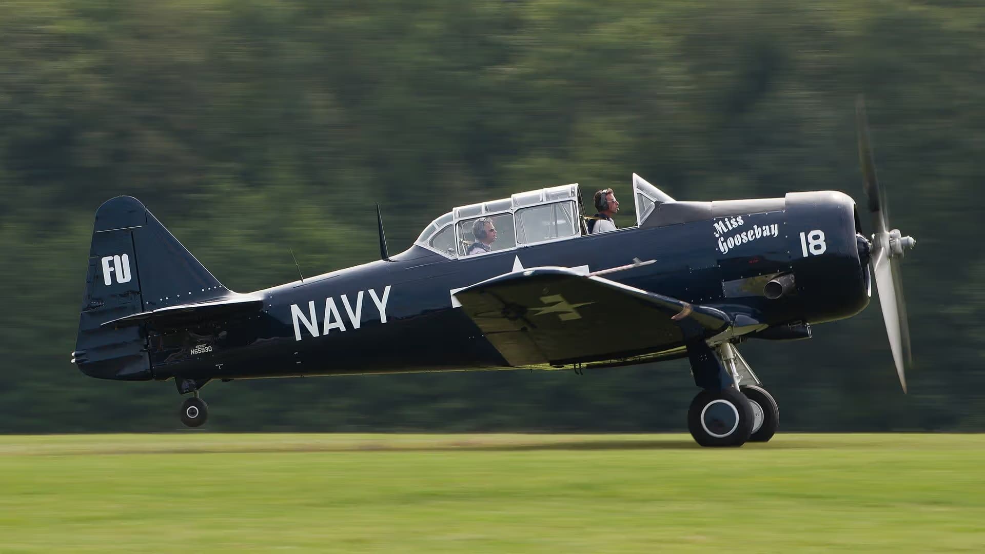 N6593D — Warbird
