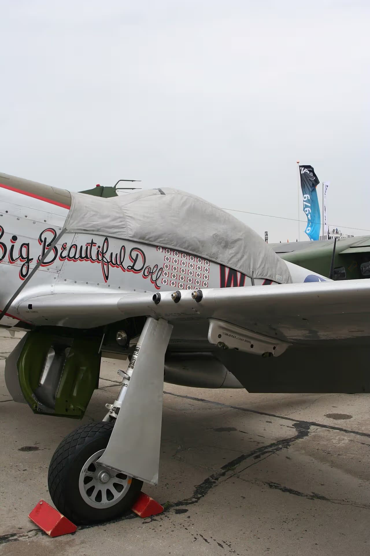 Unidentified — Warbird