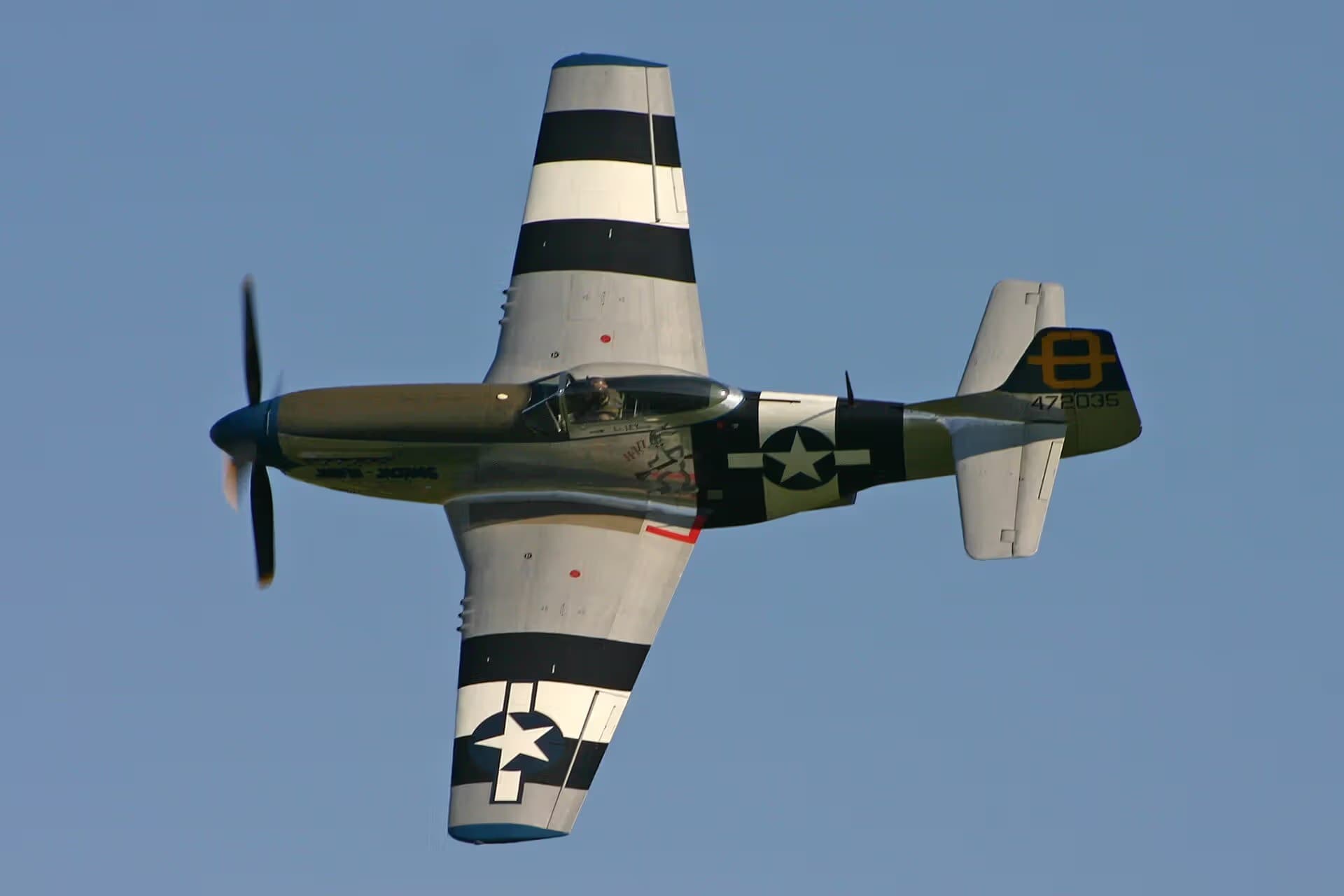 Unidentified — Warbird