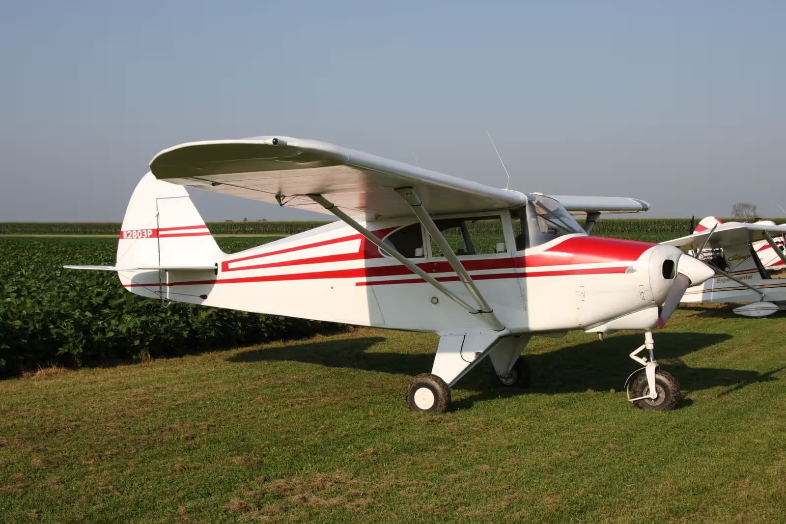 N2803P — Piper
