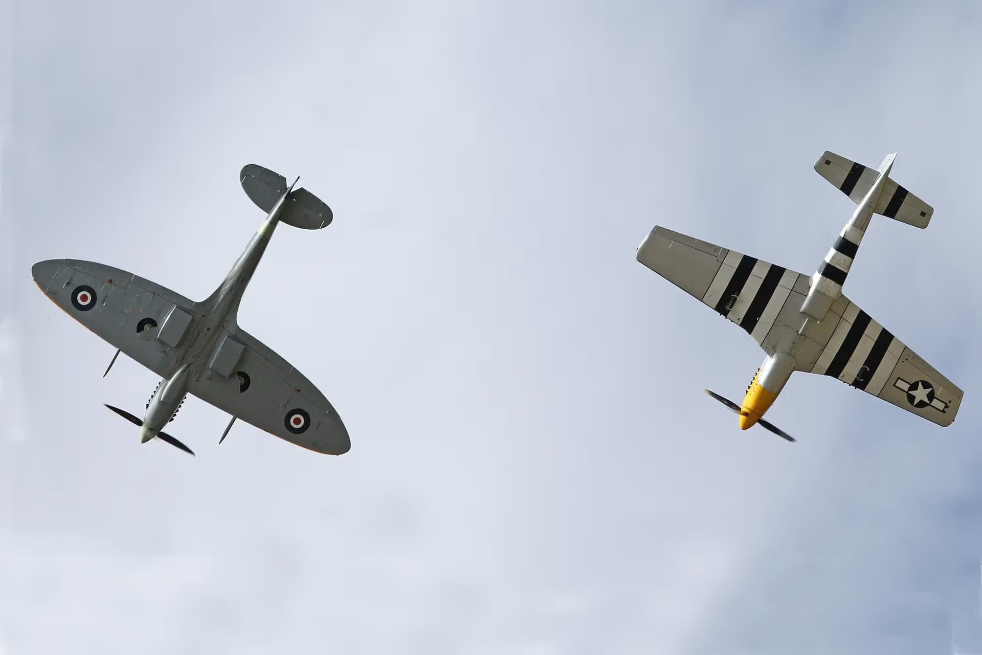 Unidentified — Warbird