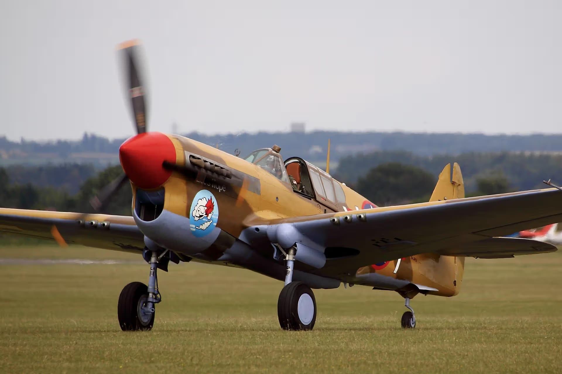 Unidentified — Warbird