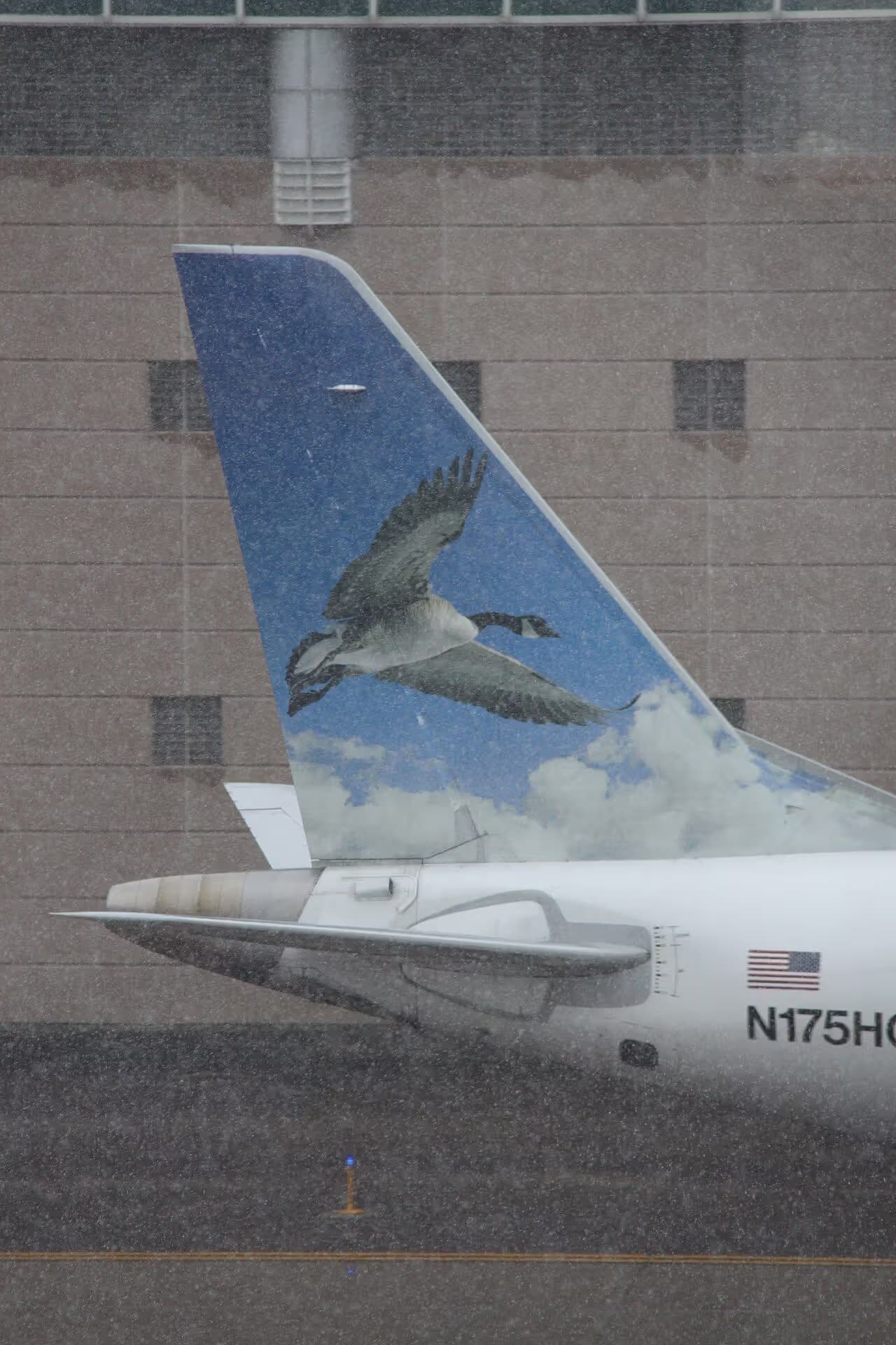 N175HQ — Aircraft