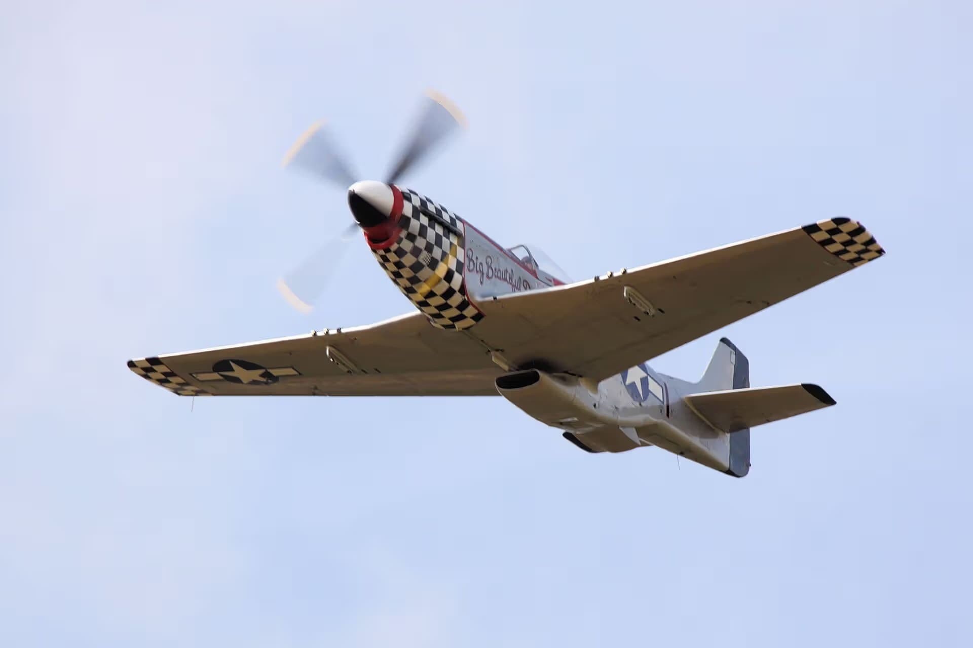 Unidentified — Warbird