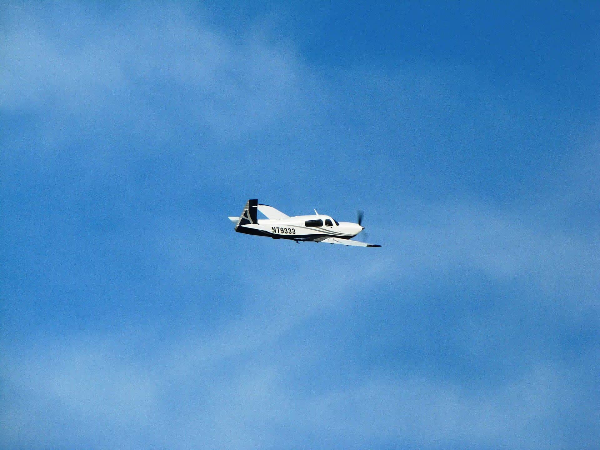 N79333 — Single-engine aircraft