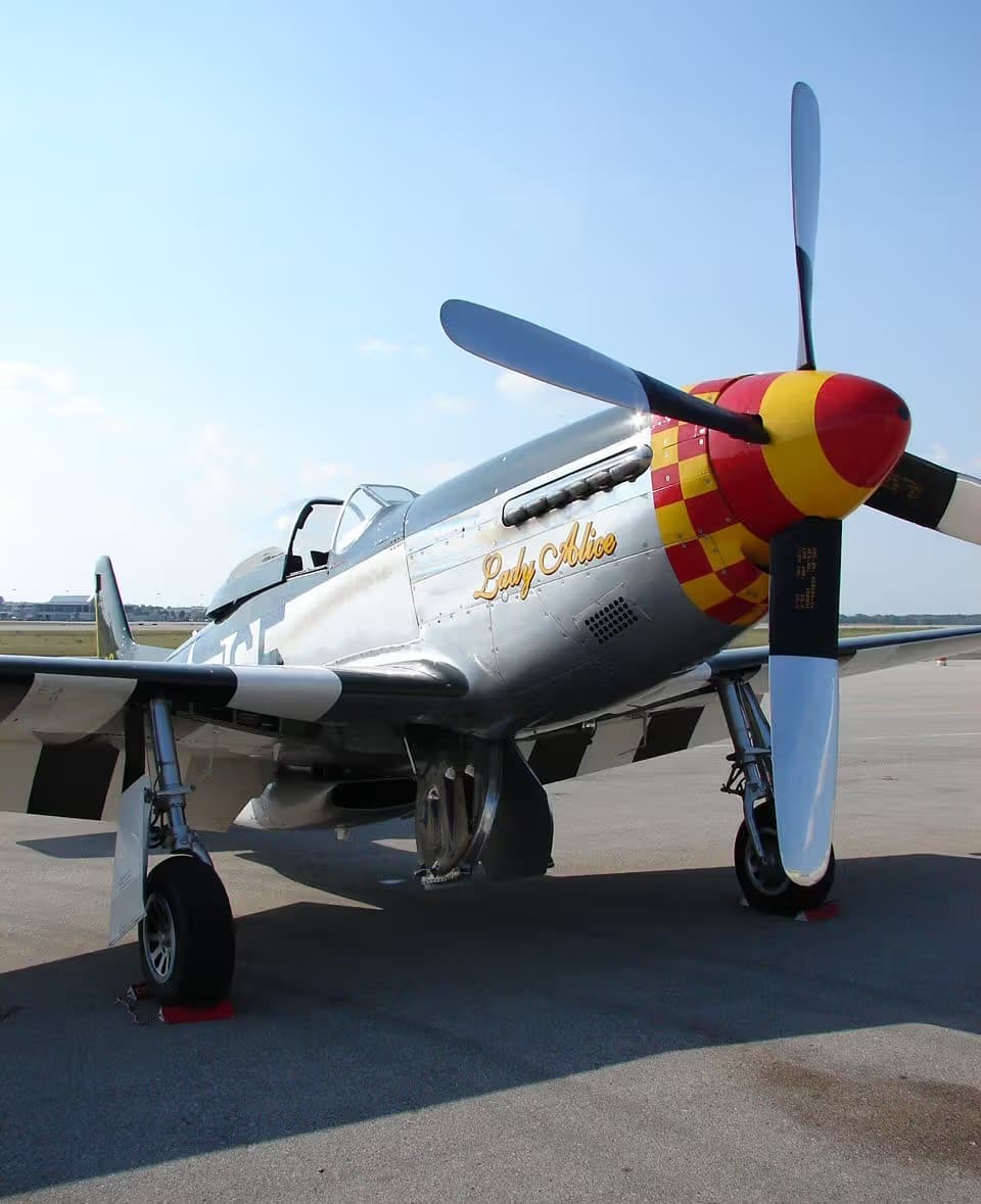 Unidentified — Warbird