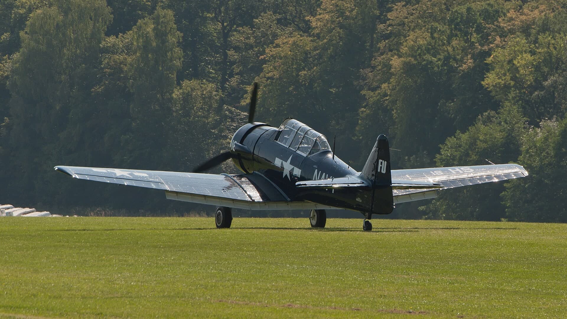 N6593D — Warbird