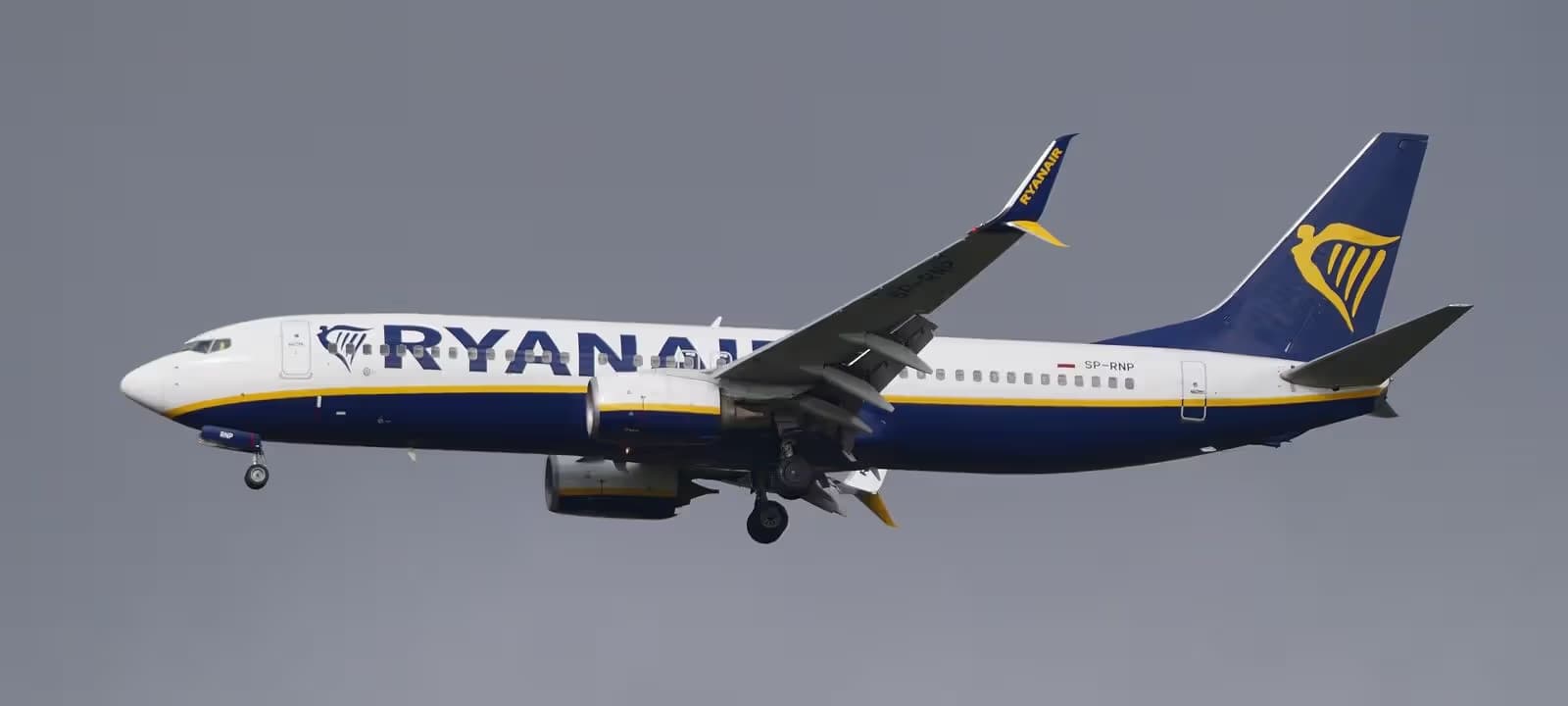 SP-RNP — Twin-engine aircraft