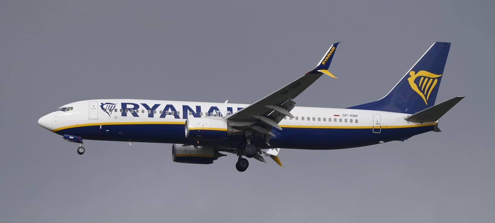 SP-RNP — Twin-engine aircraft