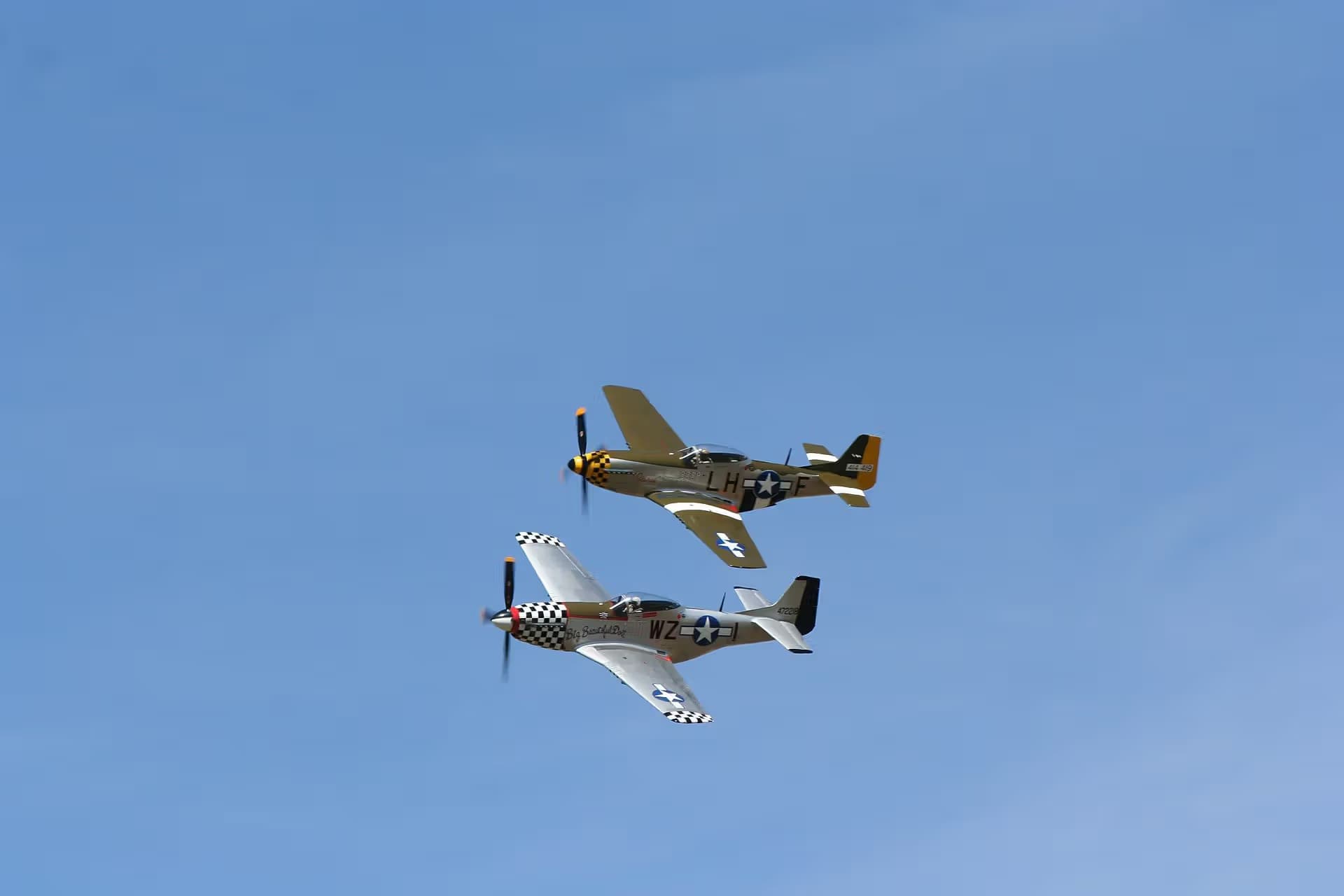Unidentified — Warbird