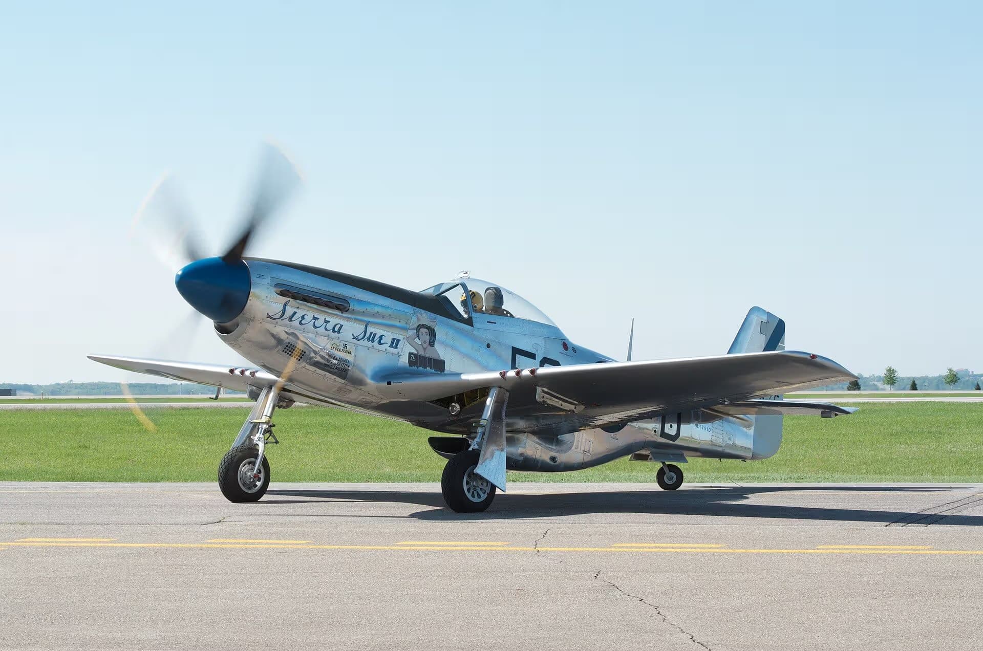 N1751D — Single-engine aircraft