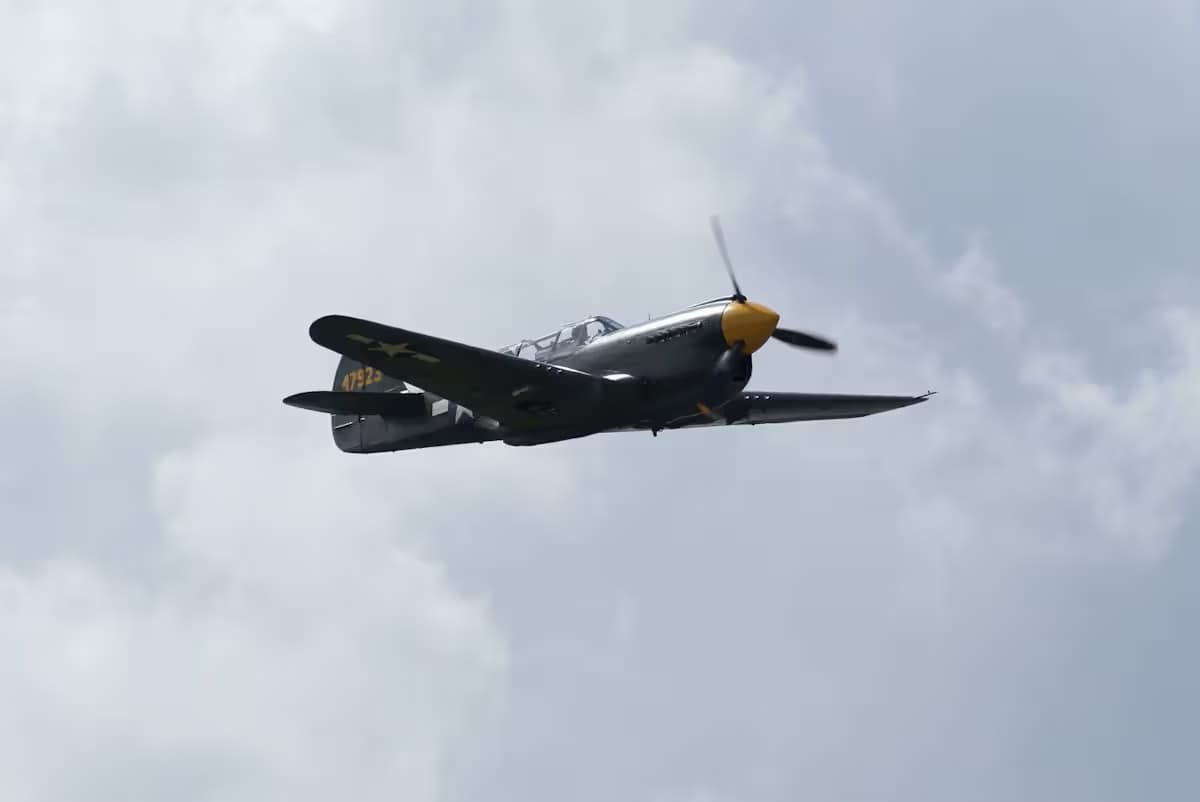 Unidentified — Warbird