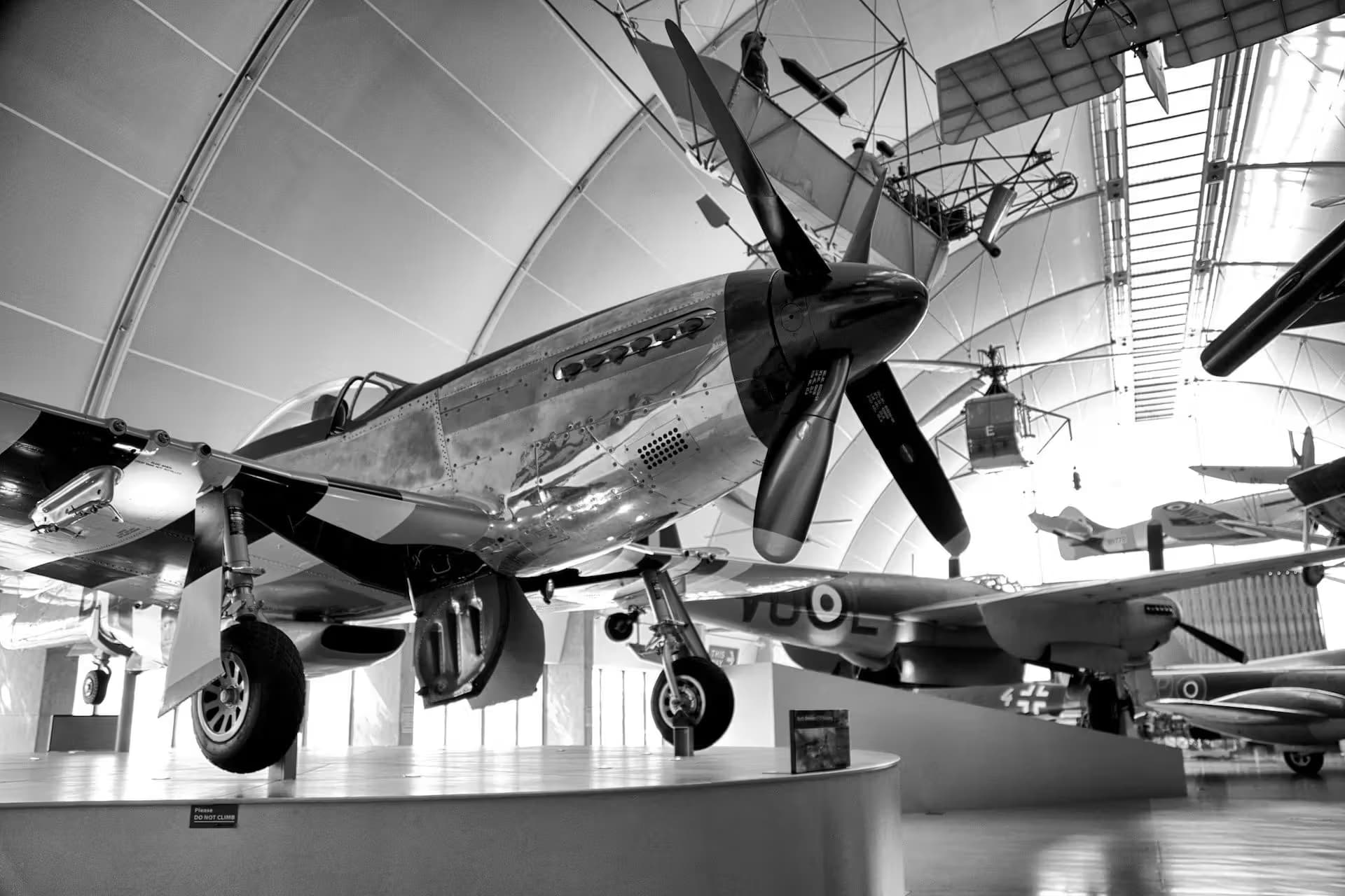 Unidentified — Warbird