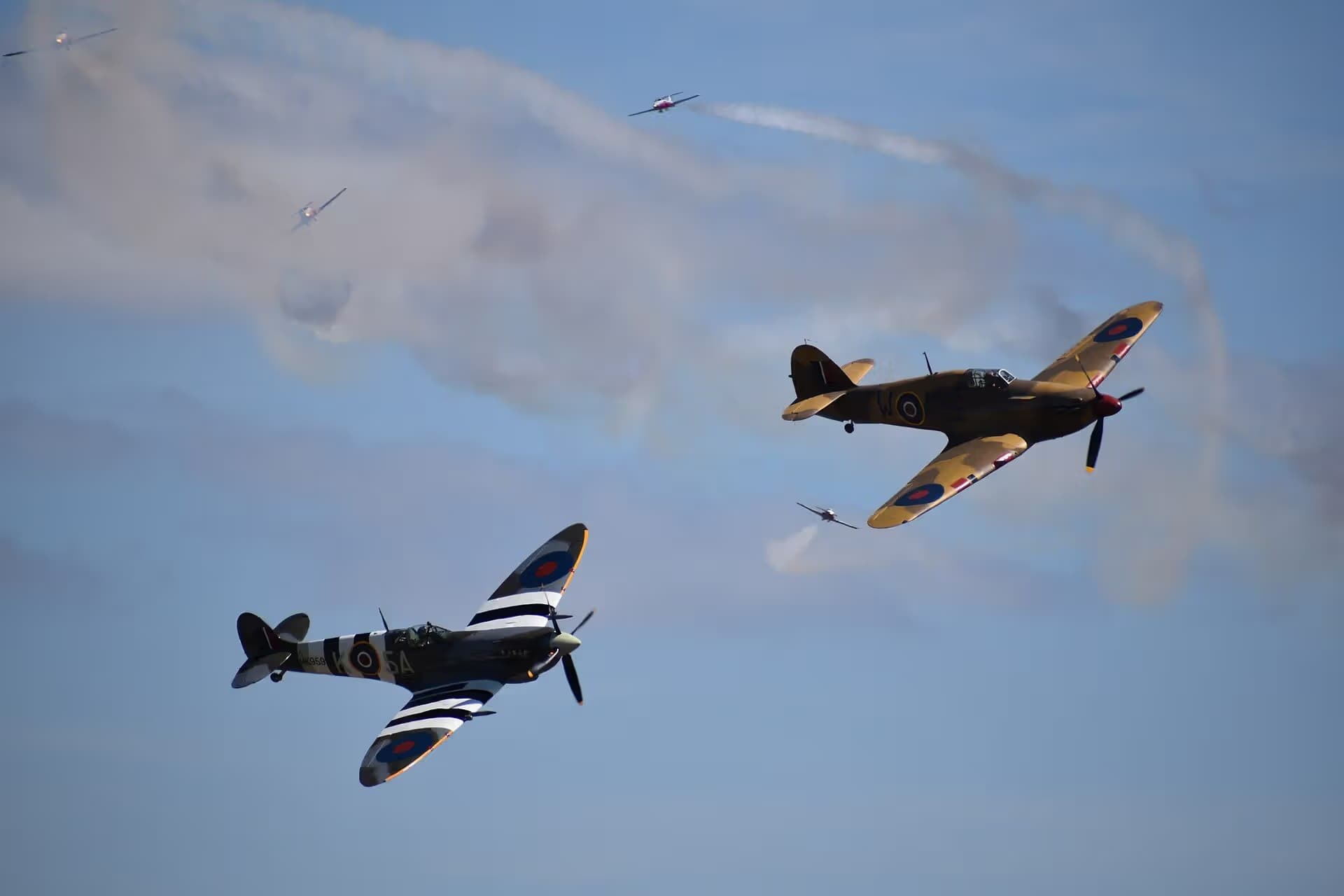 Unidentified — Warbird