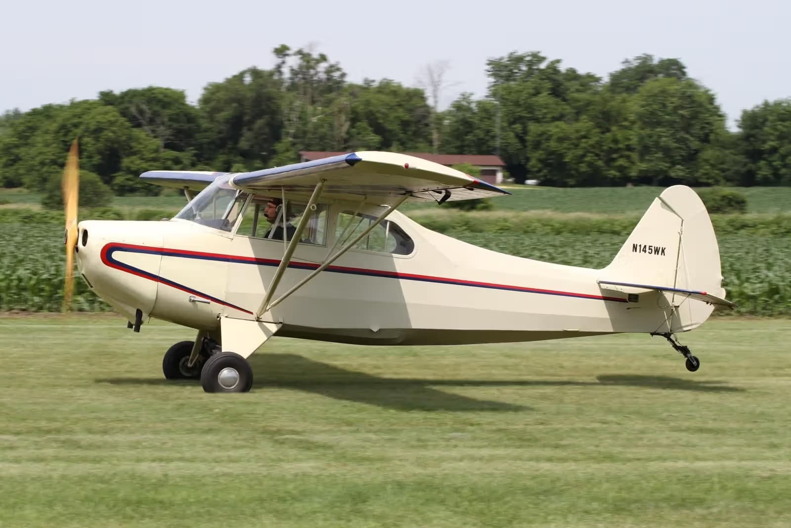 N145WK — Single-engine aircraft