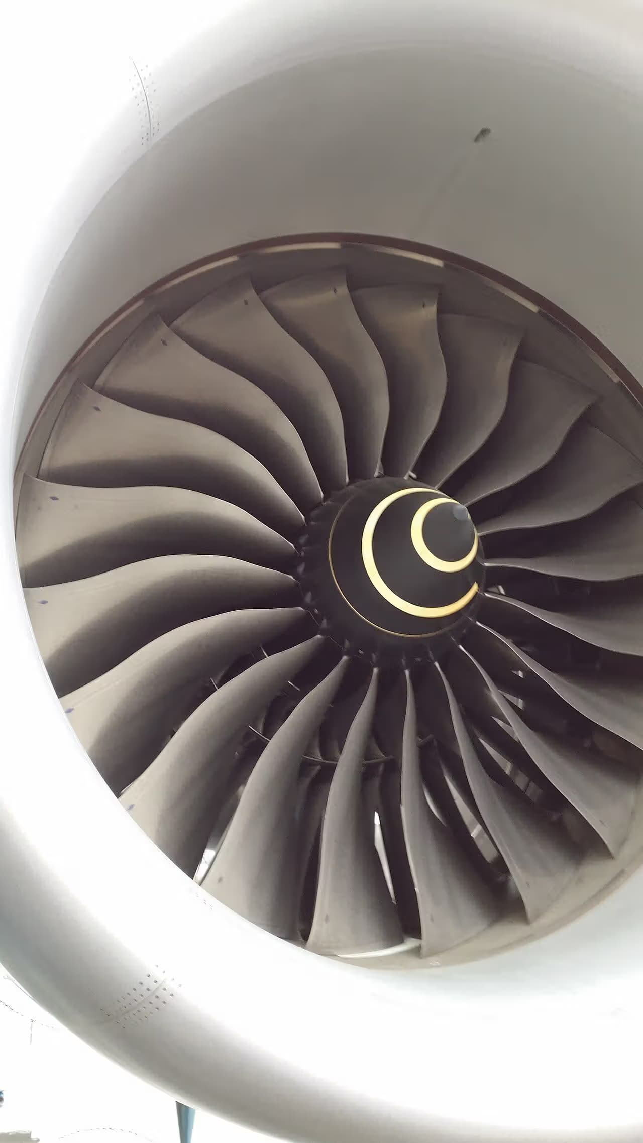 N787BX — Aircraft