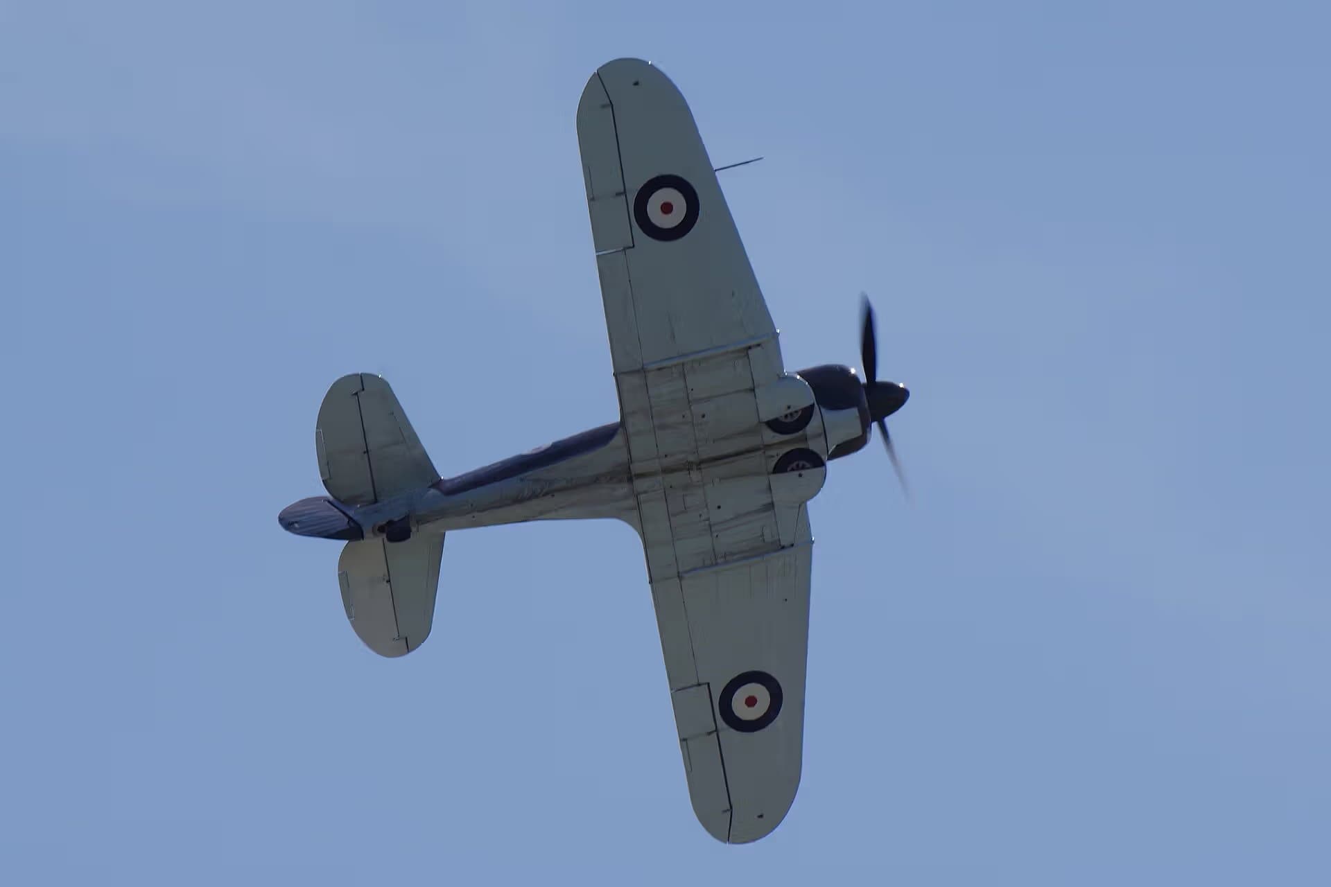 Unidentified — Warbird