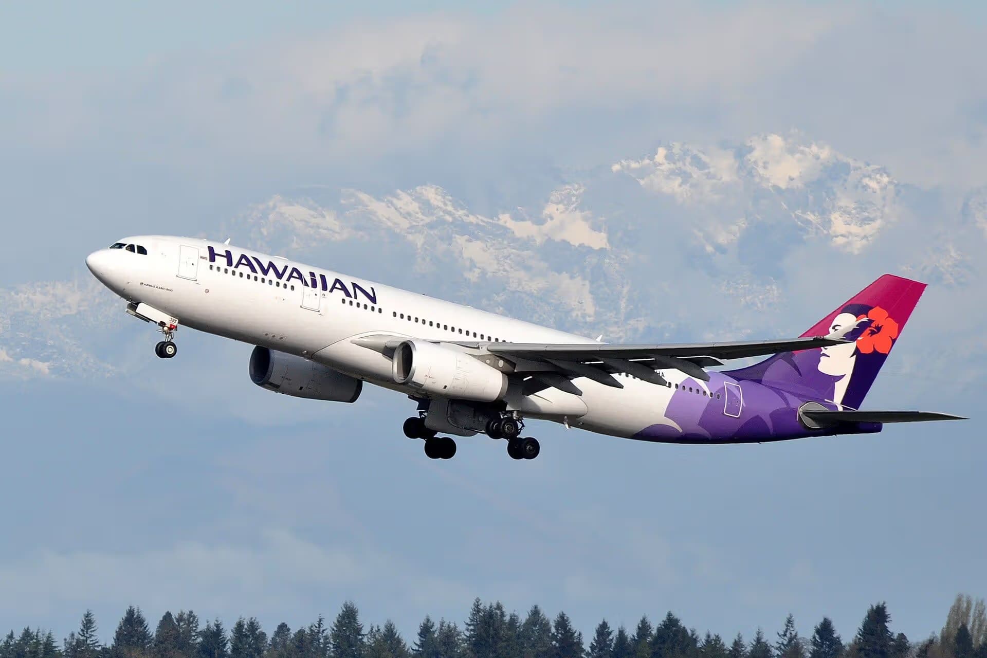 N395HA — Airbus