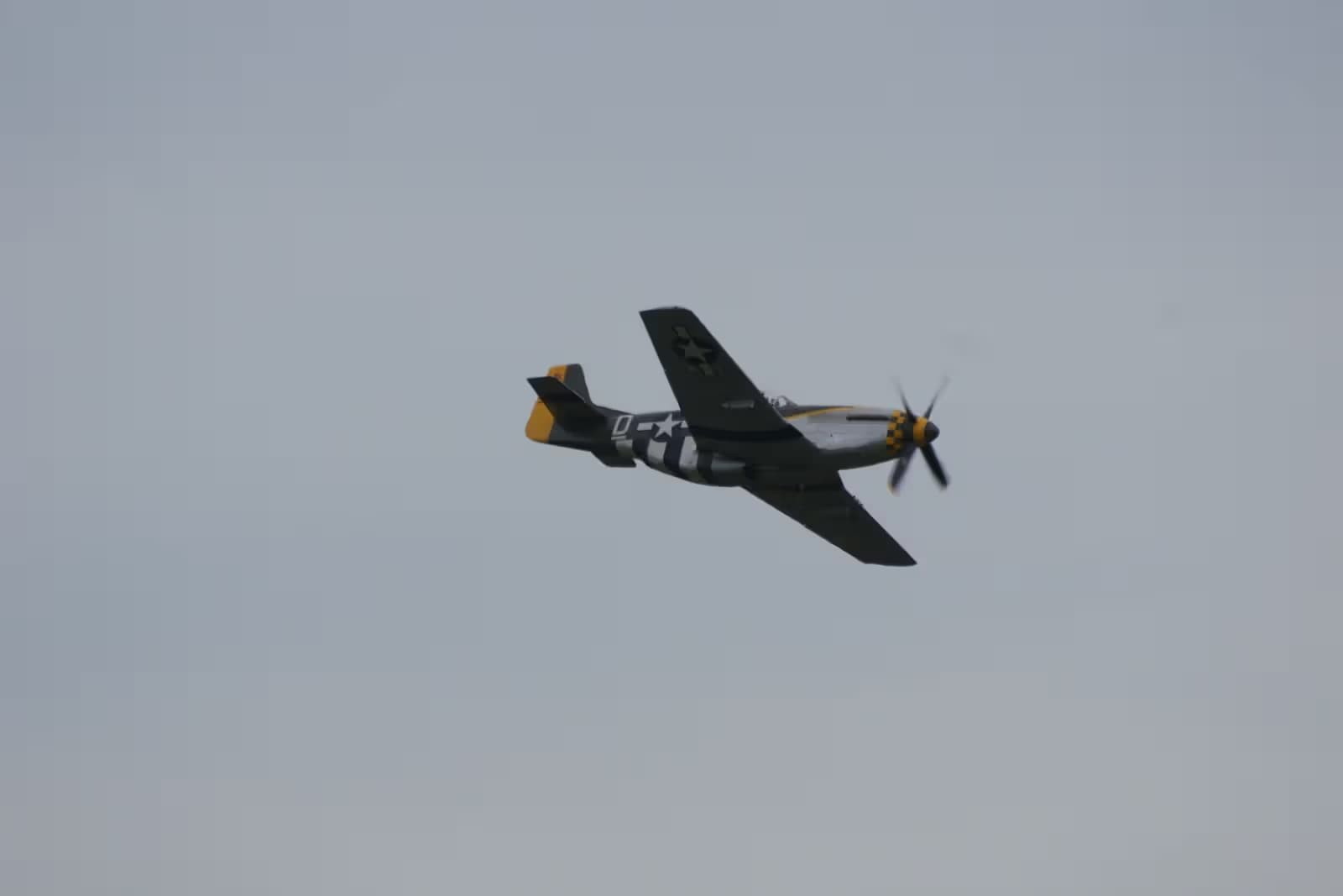 N251RJ — Warbird