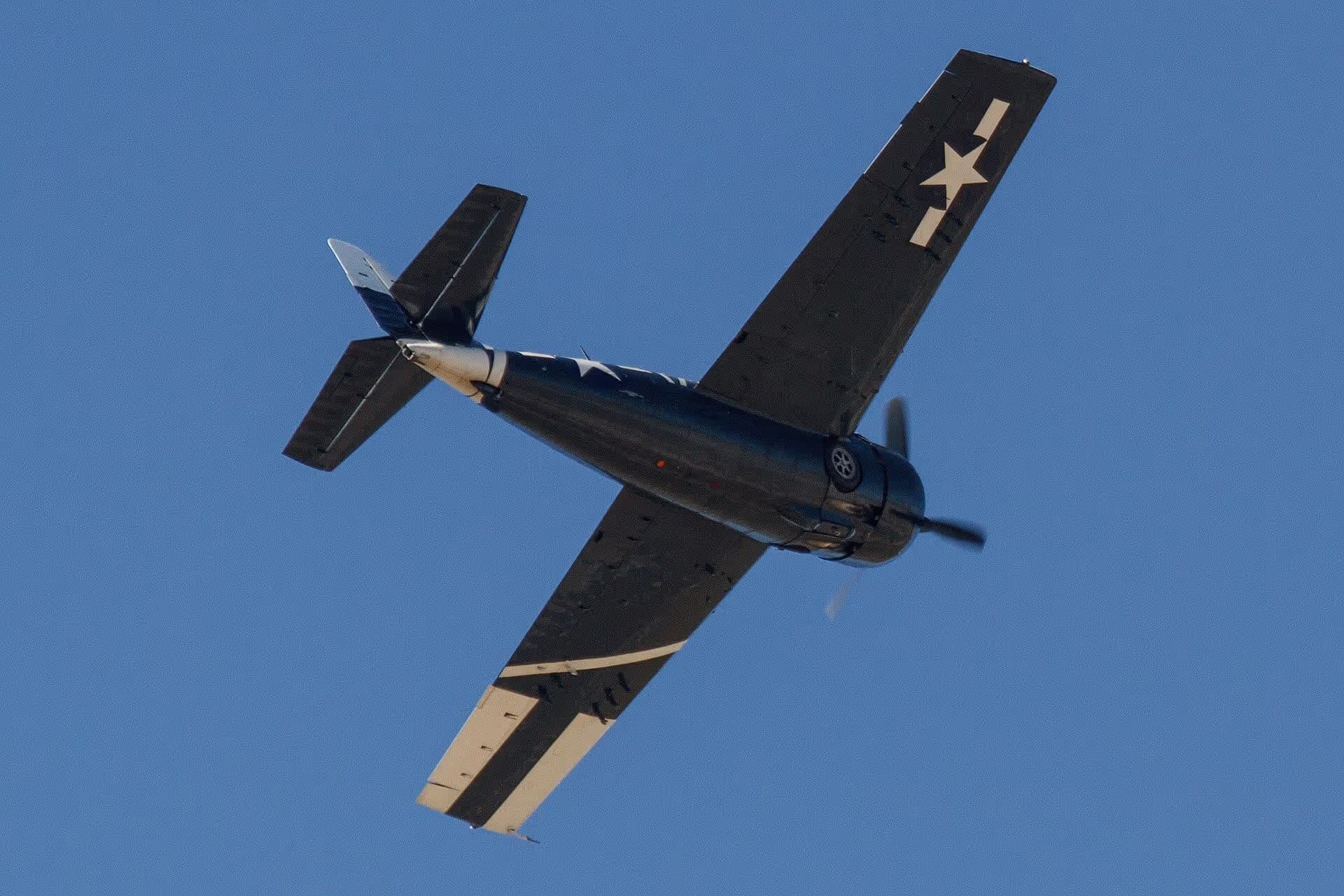 Unidentified — Warbird