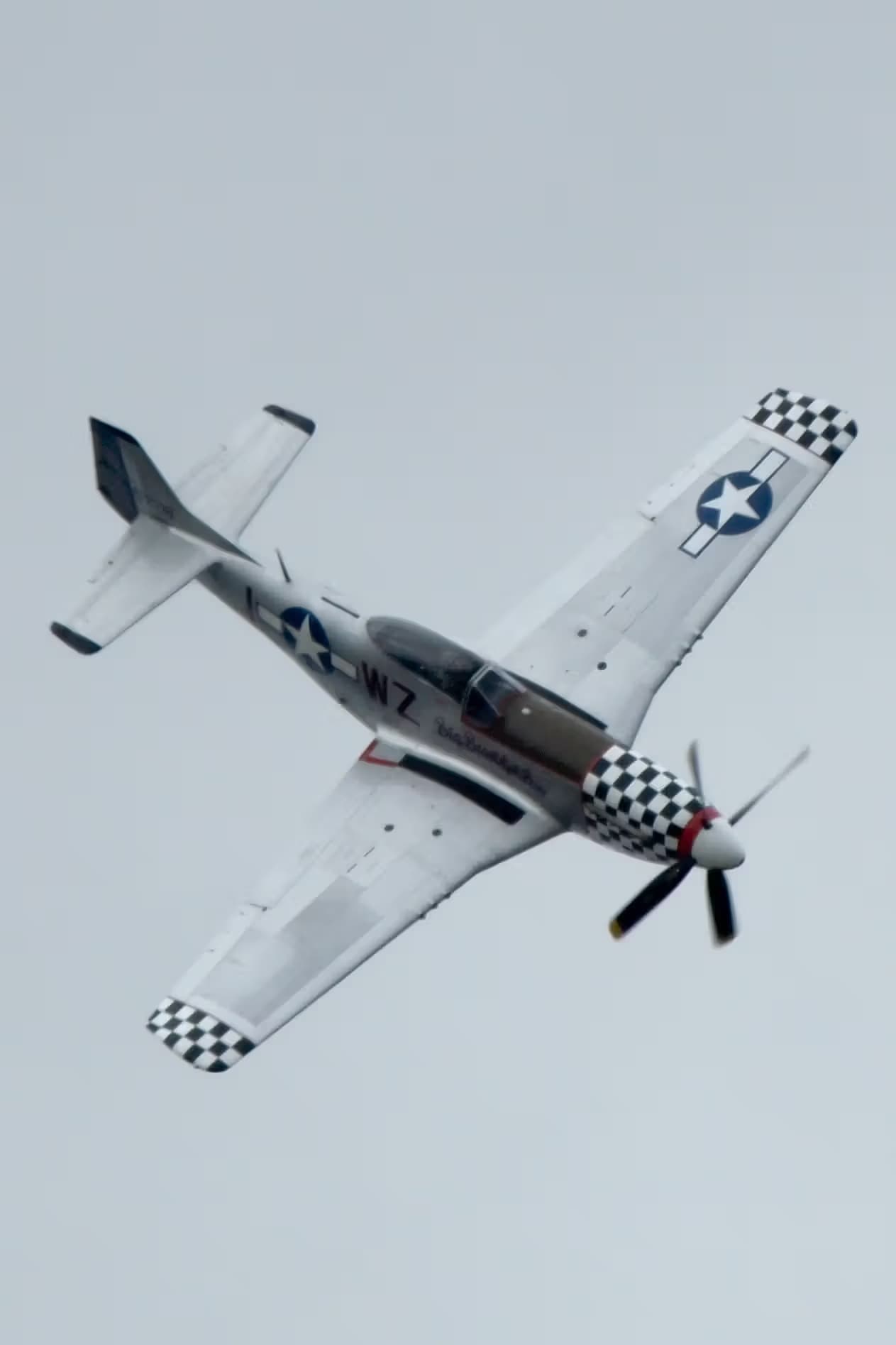 Unidentified — Warbird