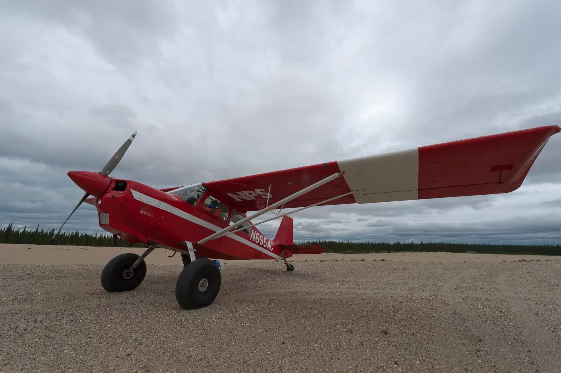 N695AC — Single-engine aircraft