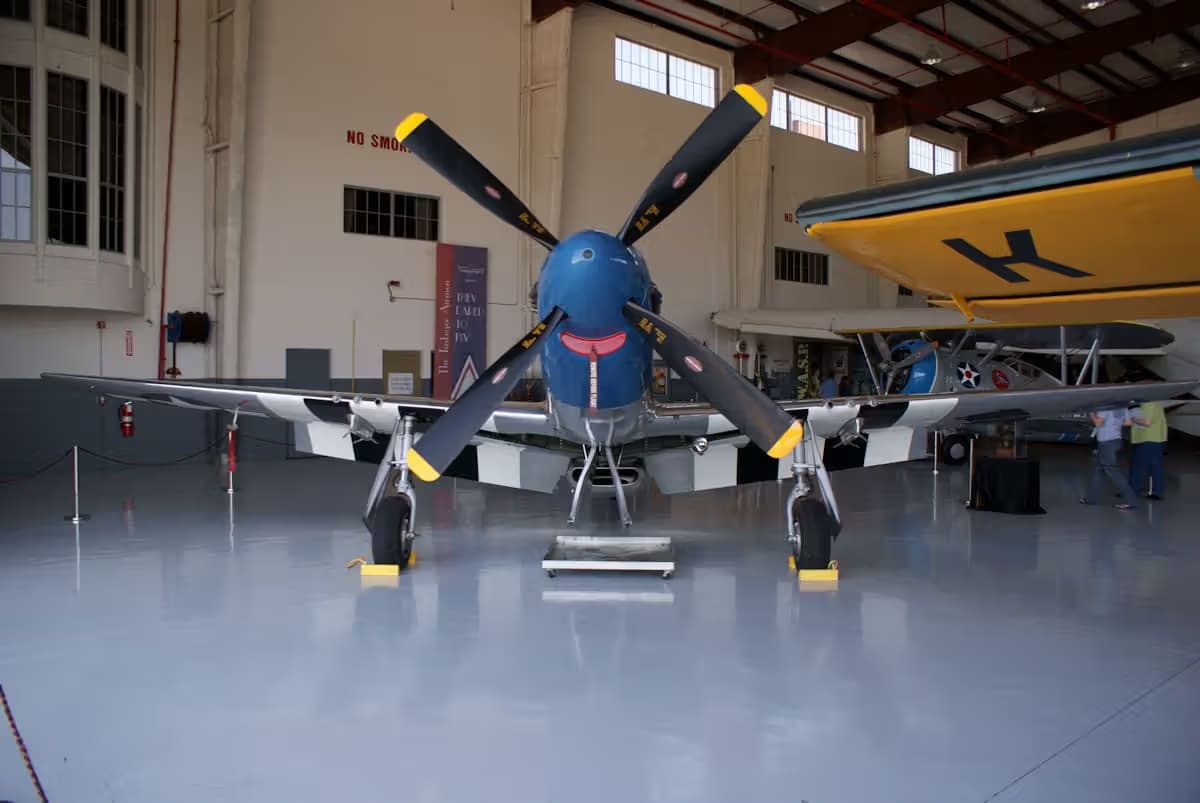 Unidentified — Warbird