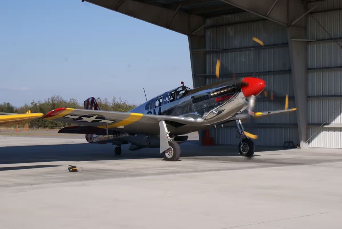 N251MX — Warbird