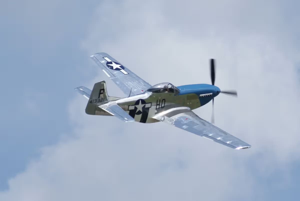 Unidentified — Warbird