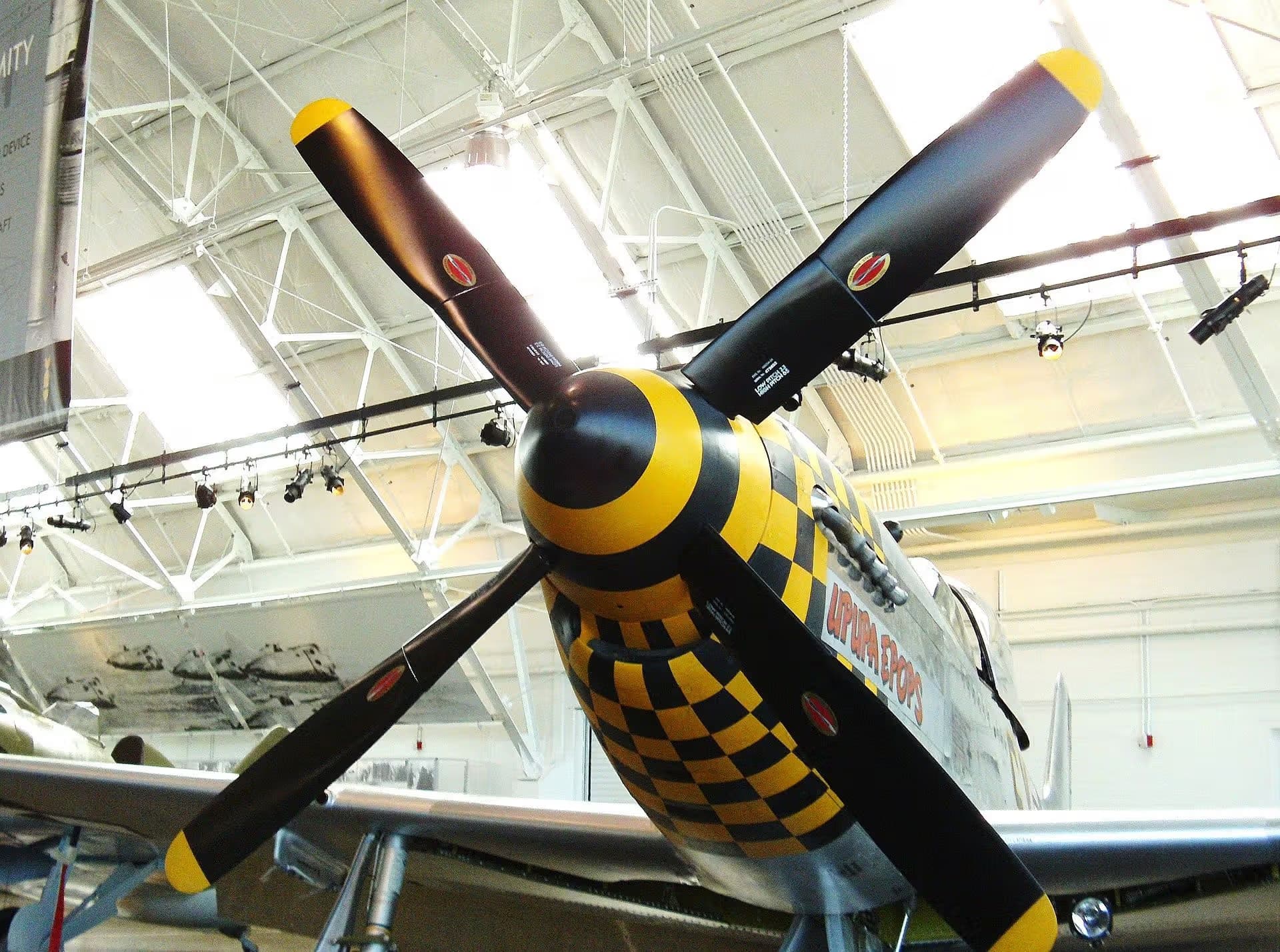 Unidentified — Warbird
