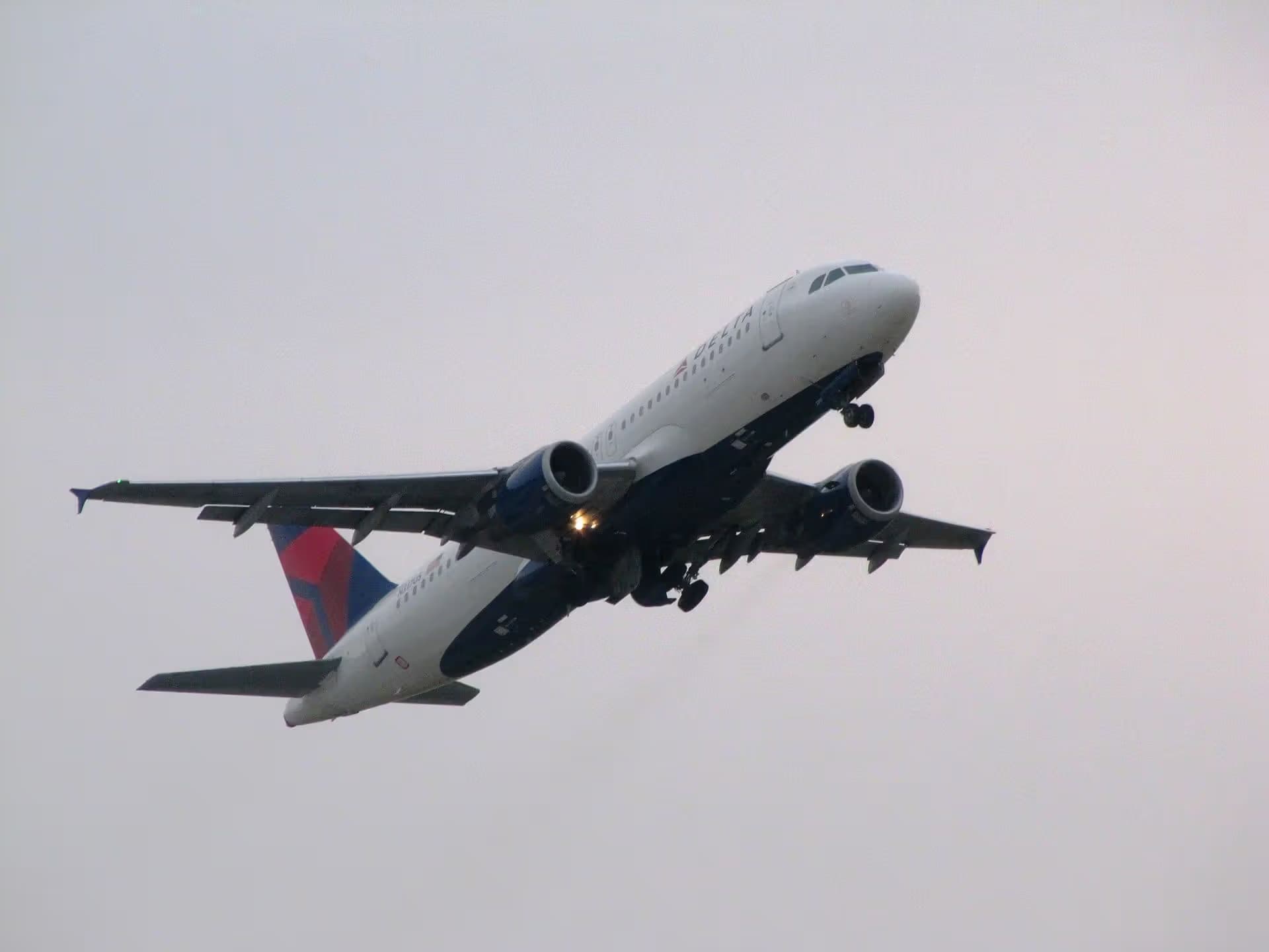 N317US — Airbus