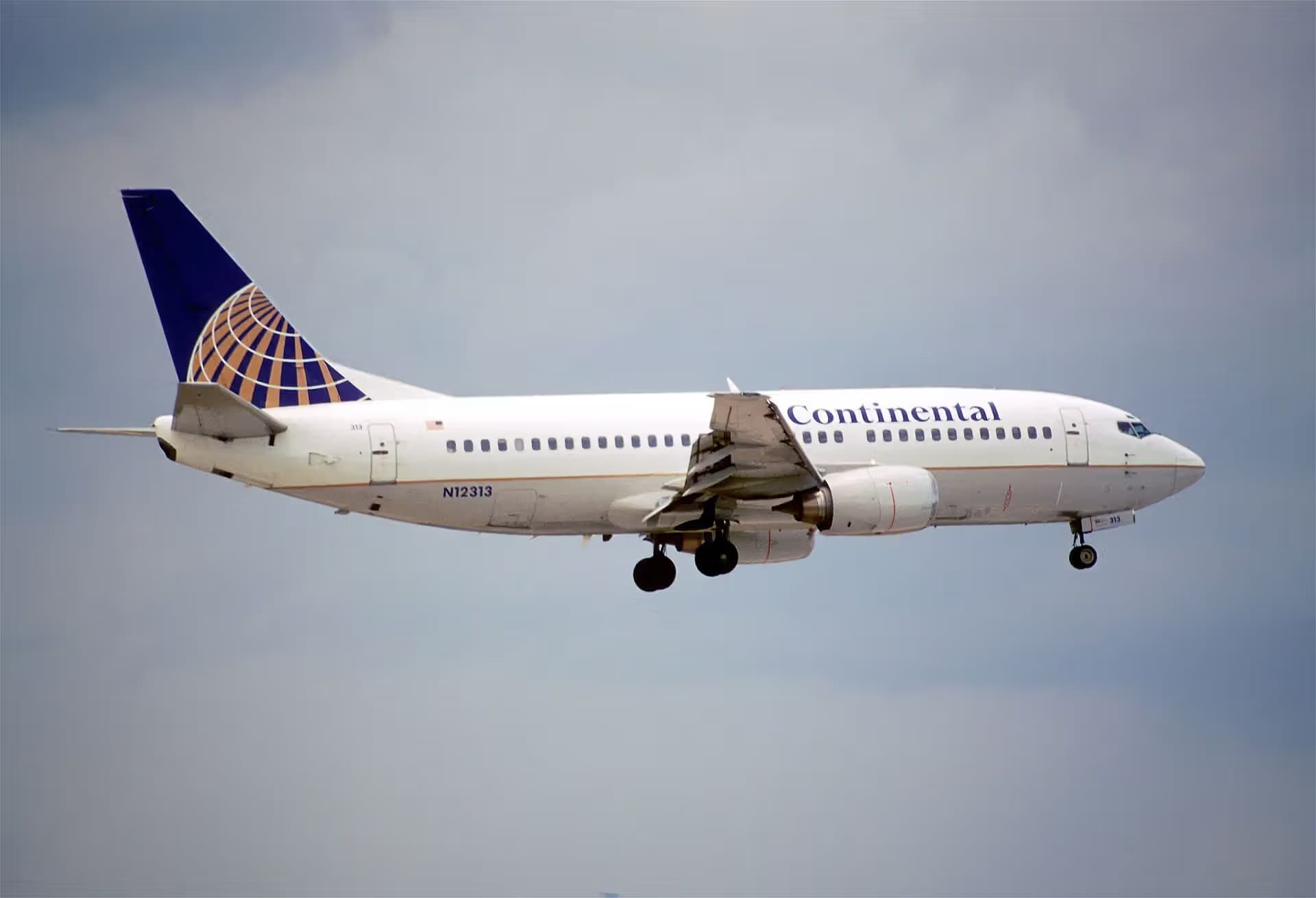 N12313 — Twin-engine aircraft