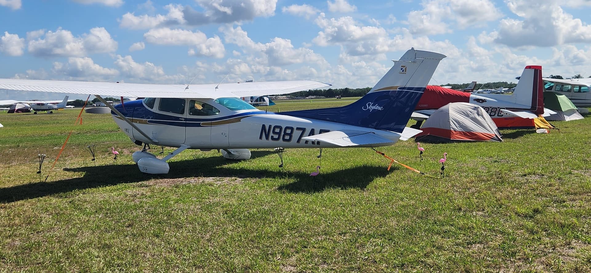 N987AF — Cessna 182Q at Lakeland Linder Intl