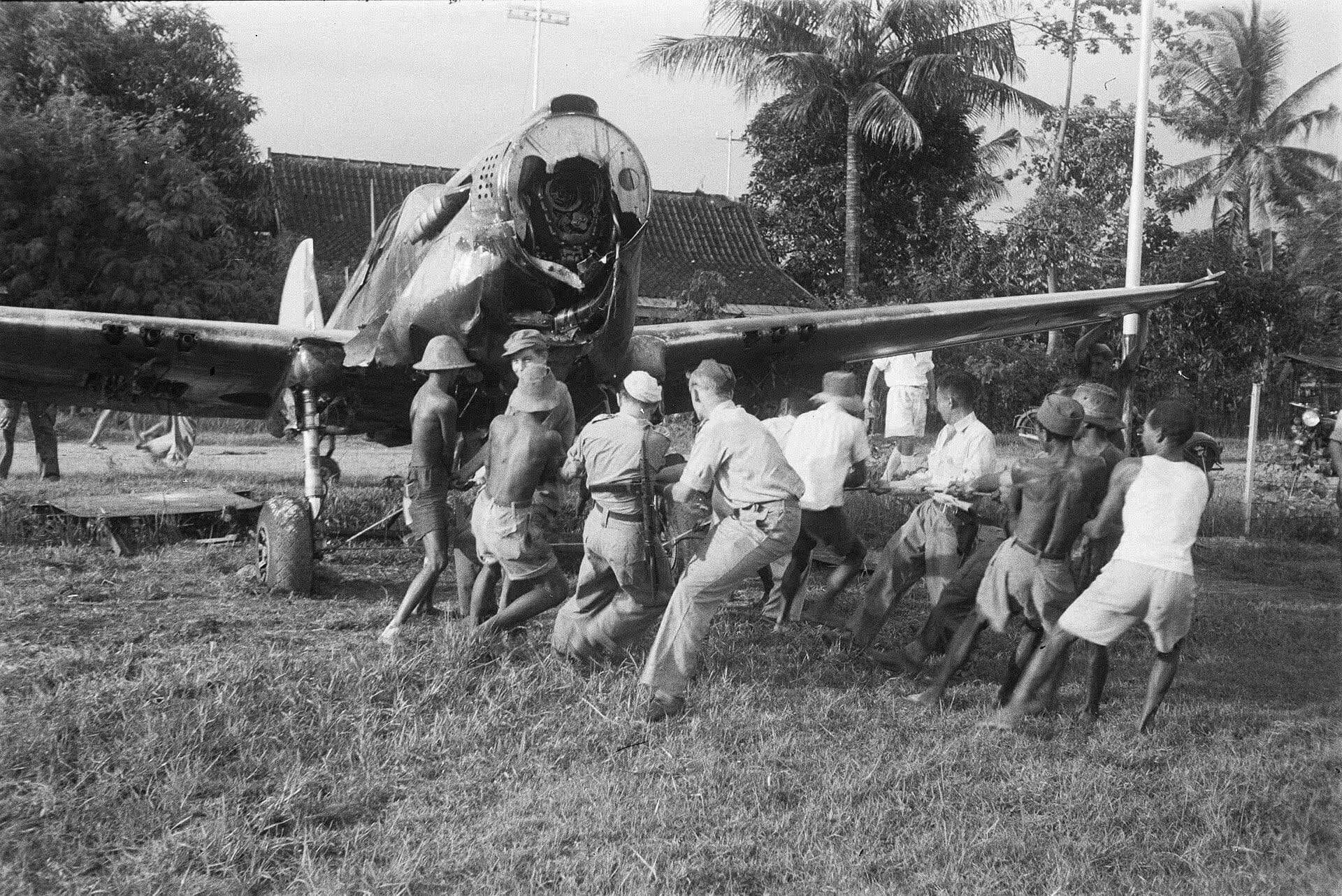 Unidentified — Warbird