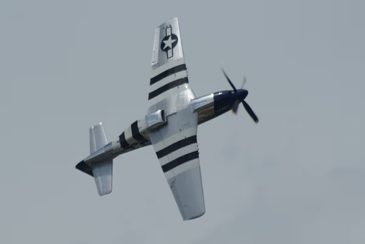 Unidentified — Warbird