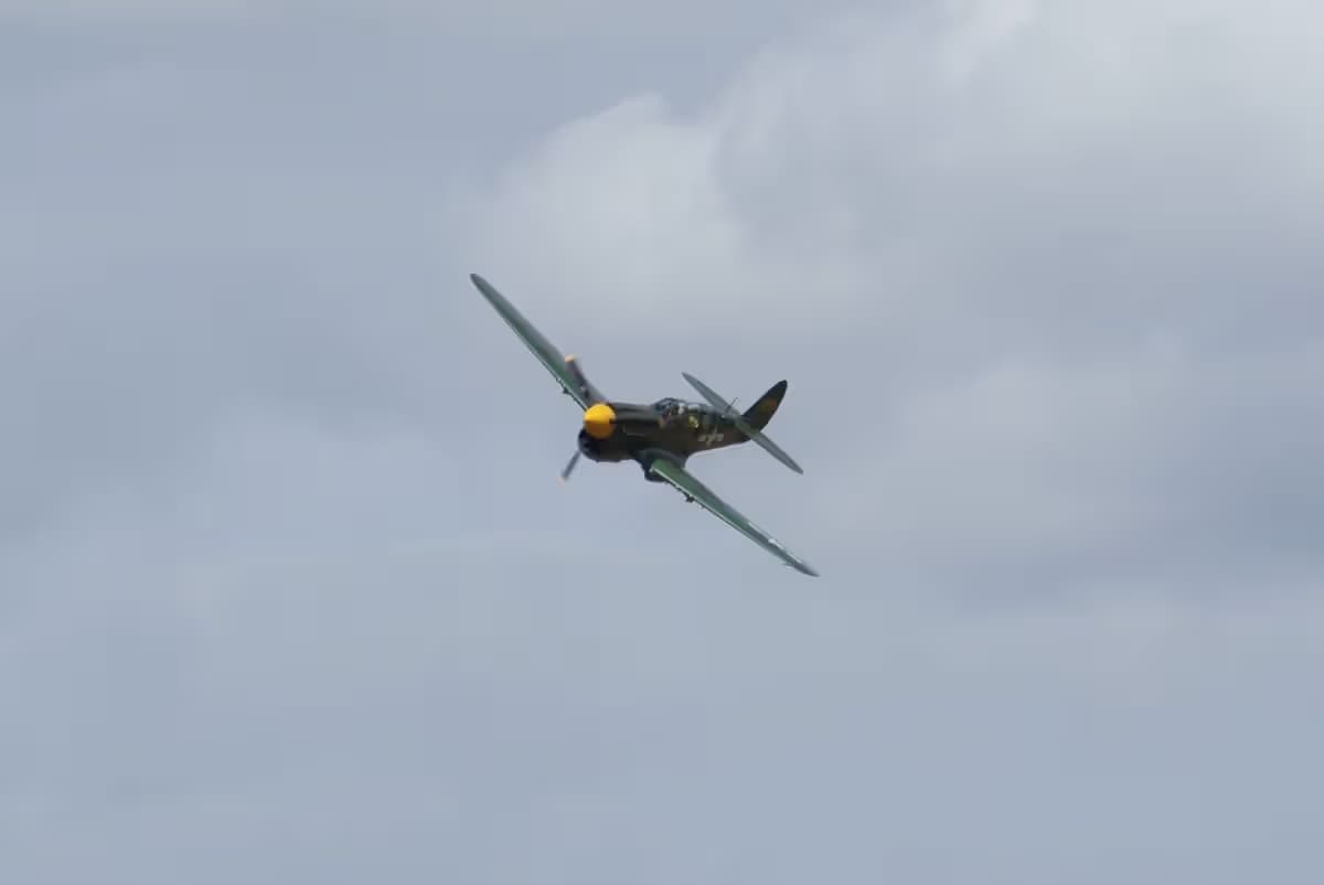 Unidentified — Warbird
