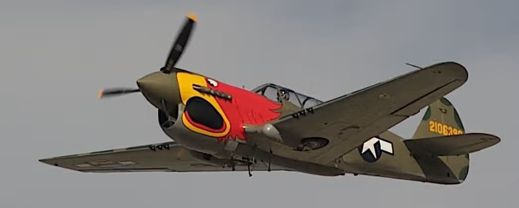N1195N — Warbird