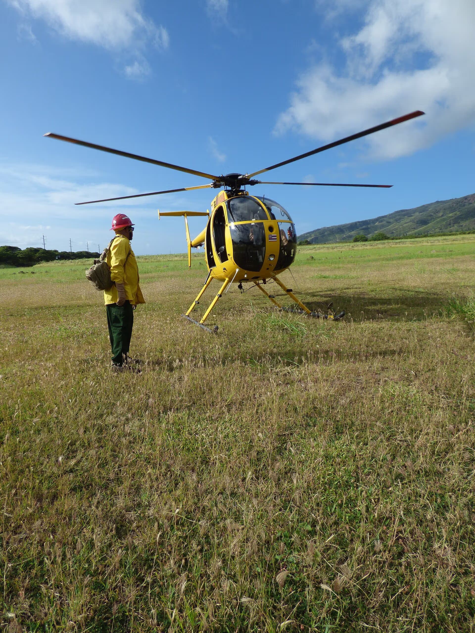 N809WA — Helicopter