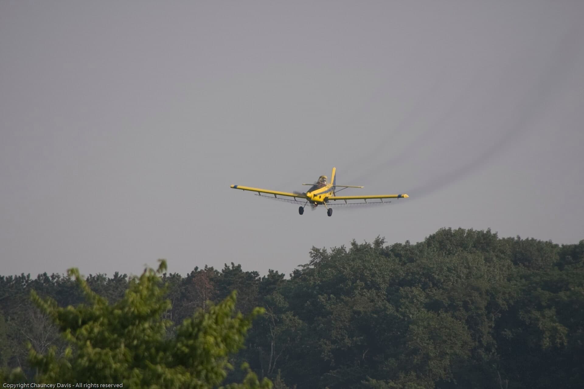 N1531G — Single-engine aircraft