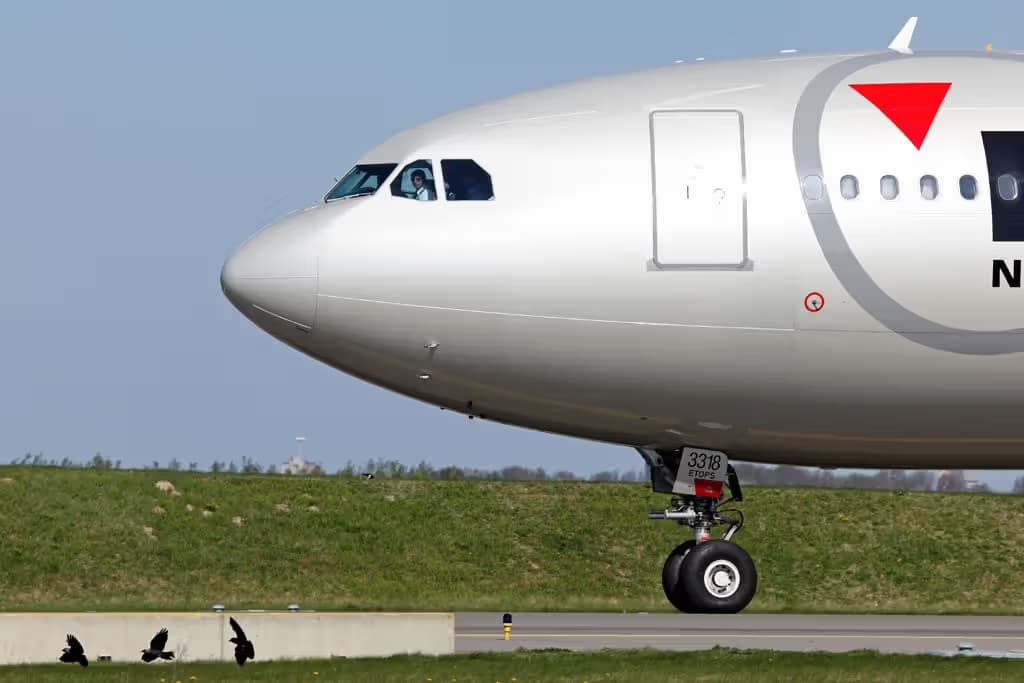 N818NW — Airbus